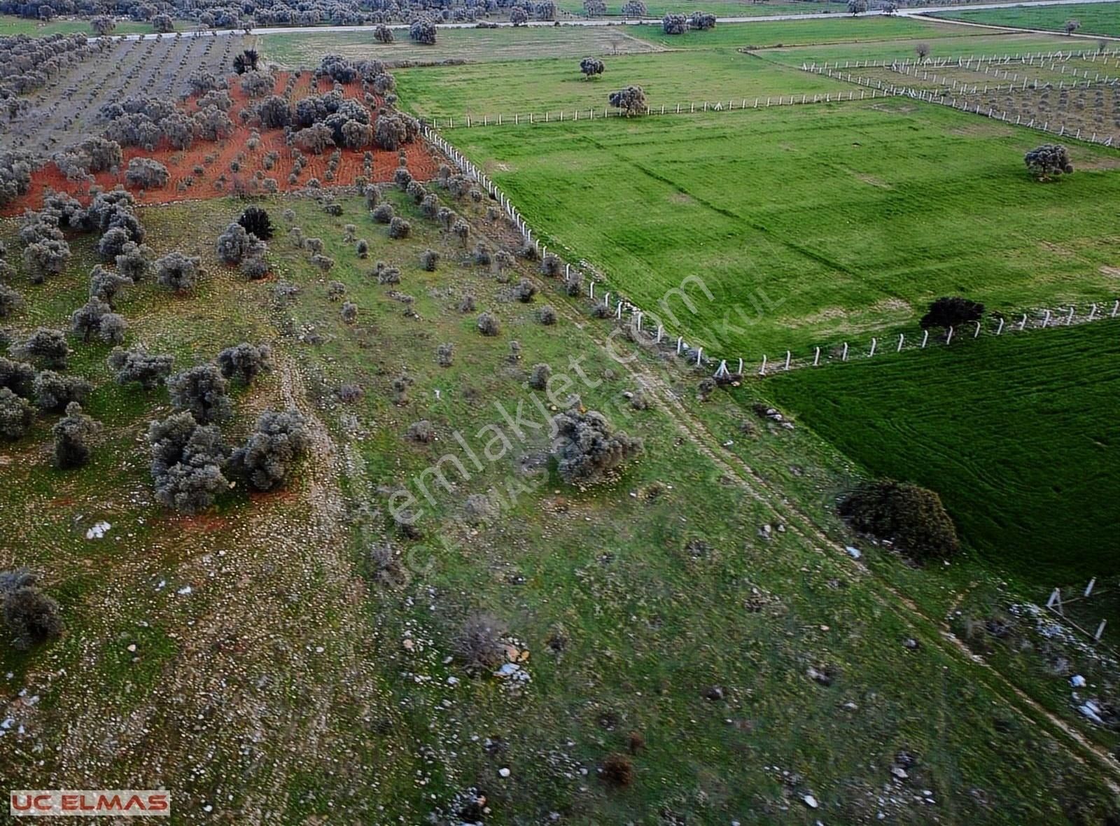 Menderes Gölova Satılık Tarla Üç Elmastan Muhteşem Bir Doğada 5.575 M²tek Tapu Süper Bir Arazi