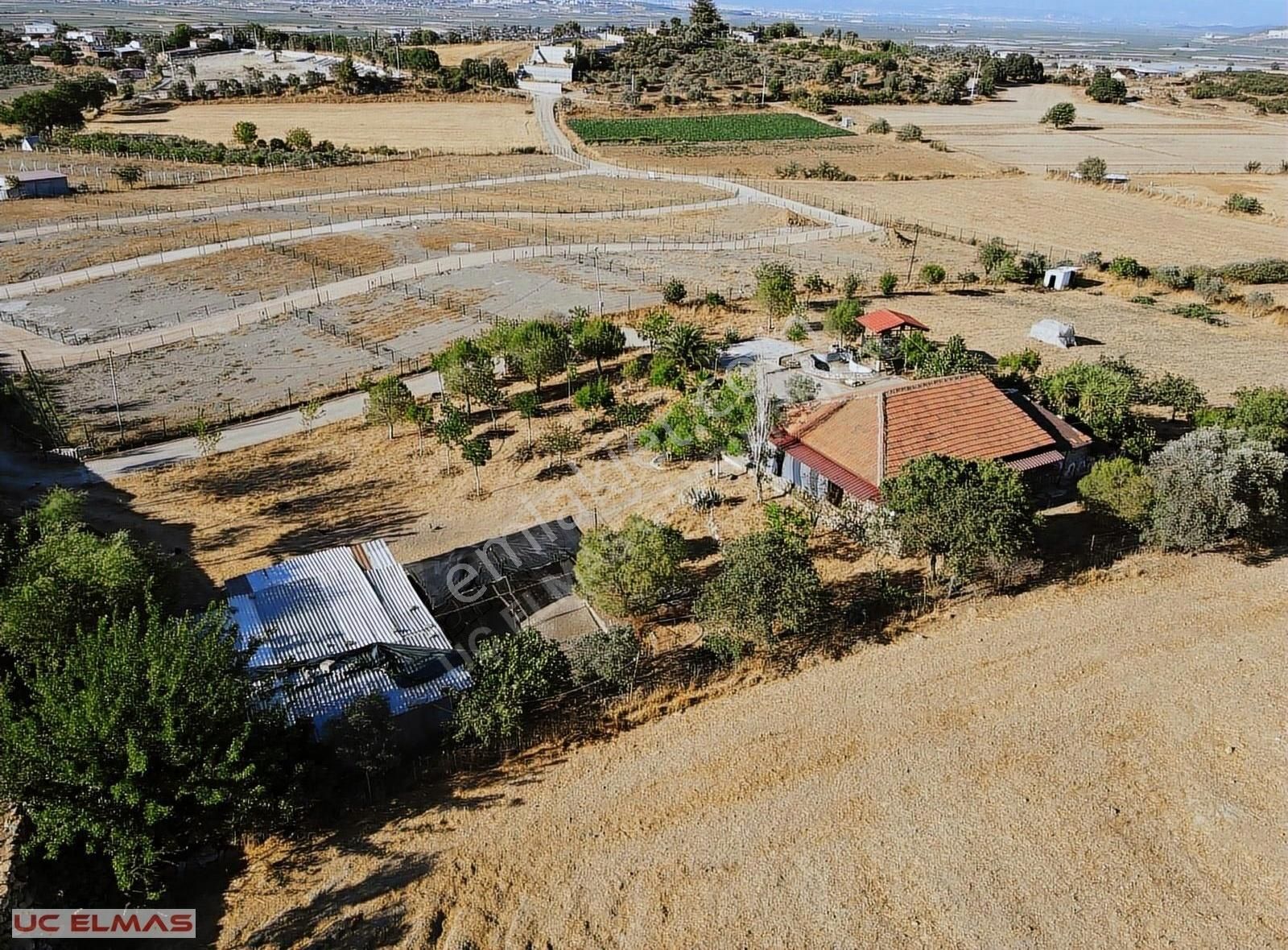 Menderes Sancaklı Satılık Çiftlik Evi Üç Elmastan Hayalini Kurduğunuz 5.000 M²tek Tapu Harika Çiftlik