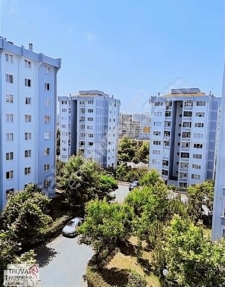 Pendik Sülüntepe Satılık Daire Sülüntepe Mah Toki Evlerinde Eşyalı Hazır Kiracılı 55 M2 1+1