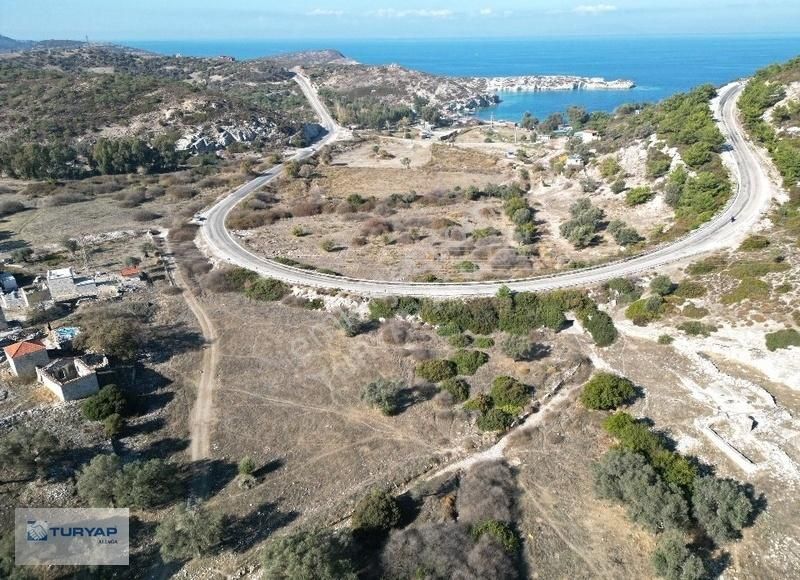 Foça Fatih Satılık Tarla Yeni Foça Sazlıca Plajına Yakın 1300 M2 Satılık Arsa