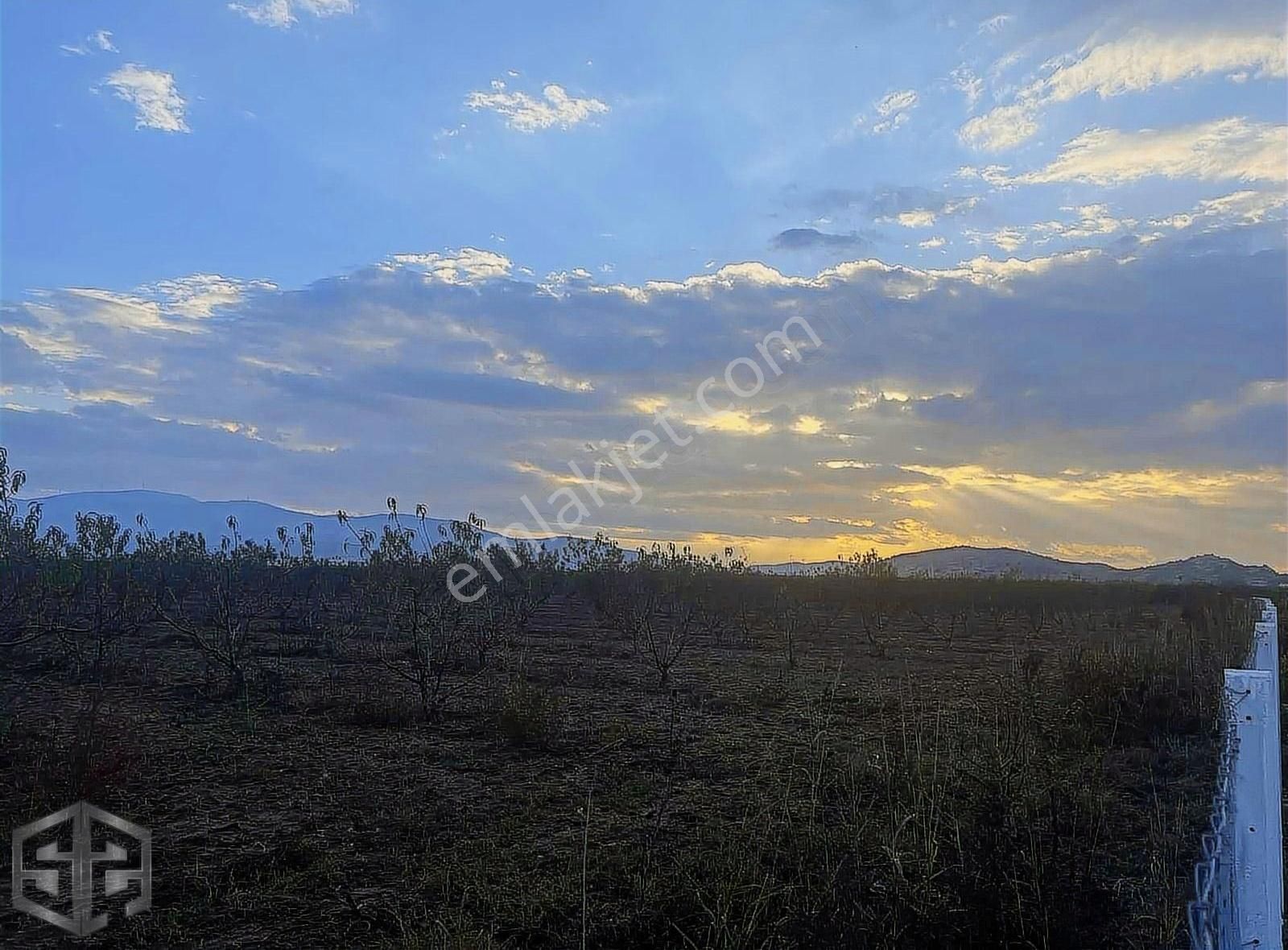 İzmir Selçuk Isabey Mh 3700 M2 Şeftali Bahçesi - Görsel 5
