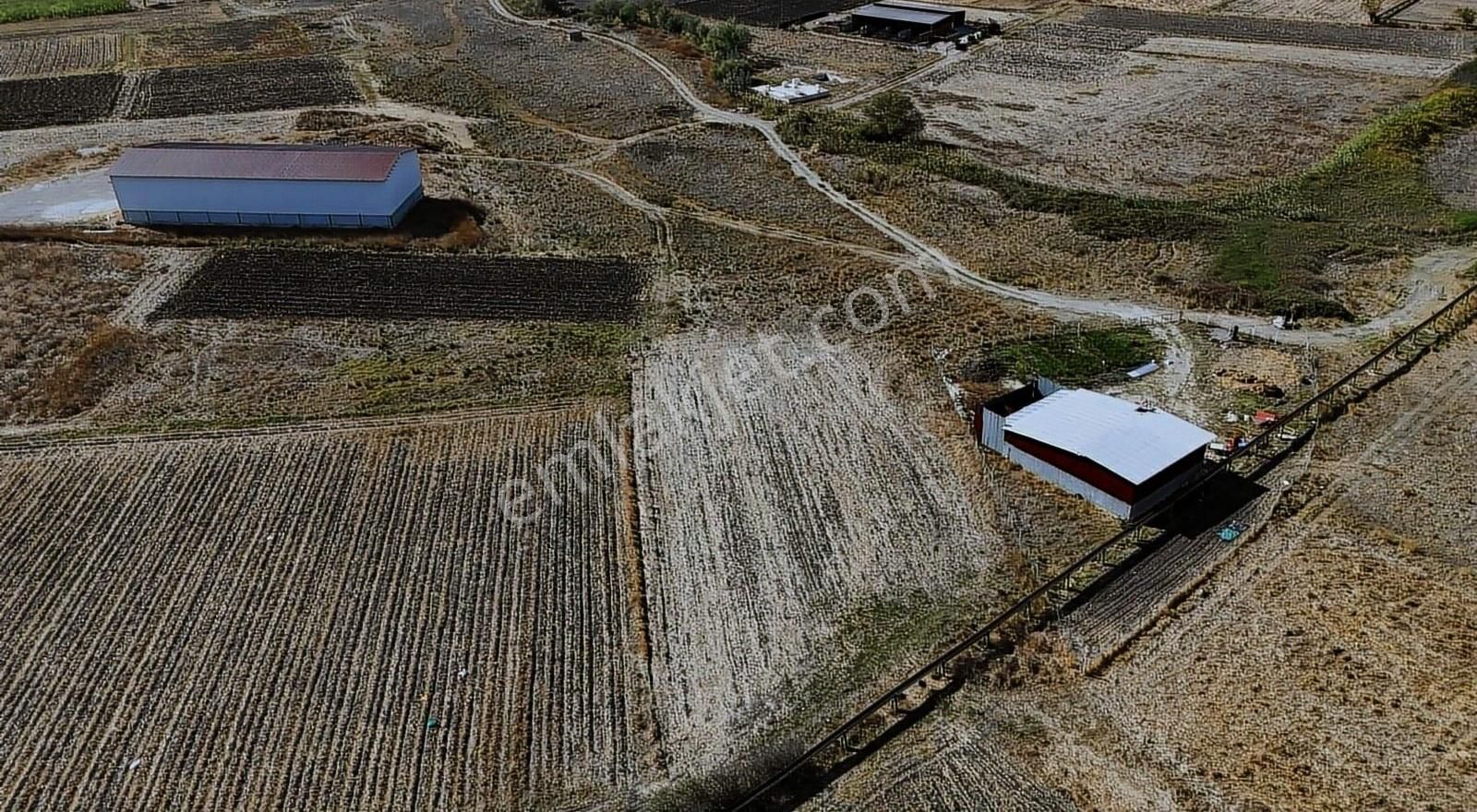 Bigadiç Işıklar Satılık Tarla Işıklar Mah'de İskele Ana Yolu Üzeri Satılık 1455 M2 Tarla