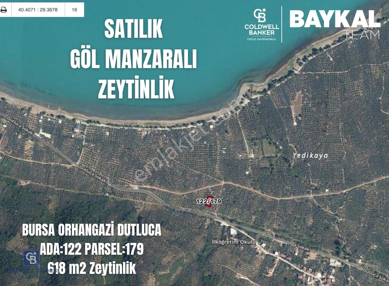 Orhangazi Dutluca Satılık Zeytinlik Bursa Orhangazi Dutlucada Göl Manzaralı 618 M2 Zeytinlik