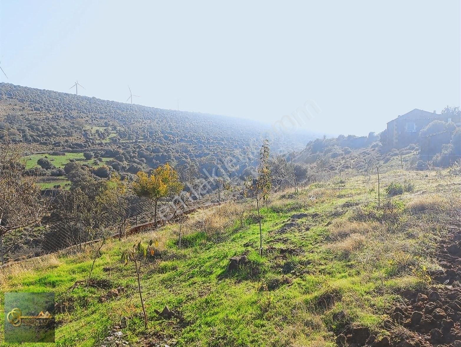 Bergama Koyuneli Satılık Müstakil Ev İzmir Bergama Koyuneli Mahallesinde Mustakil Bahçeli Taş Ev