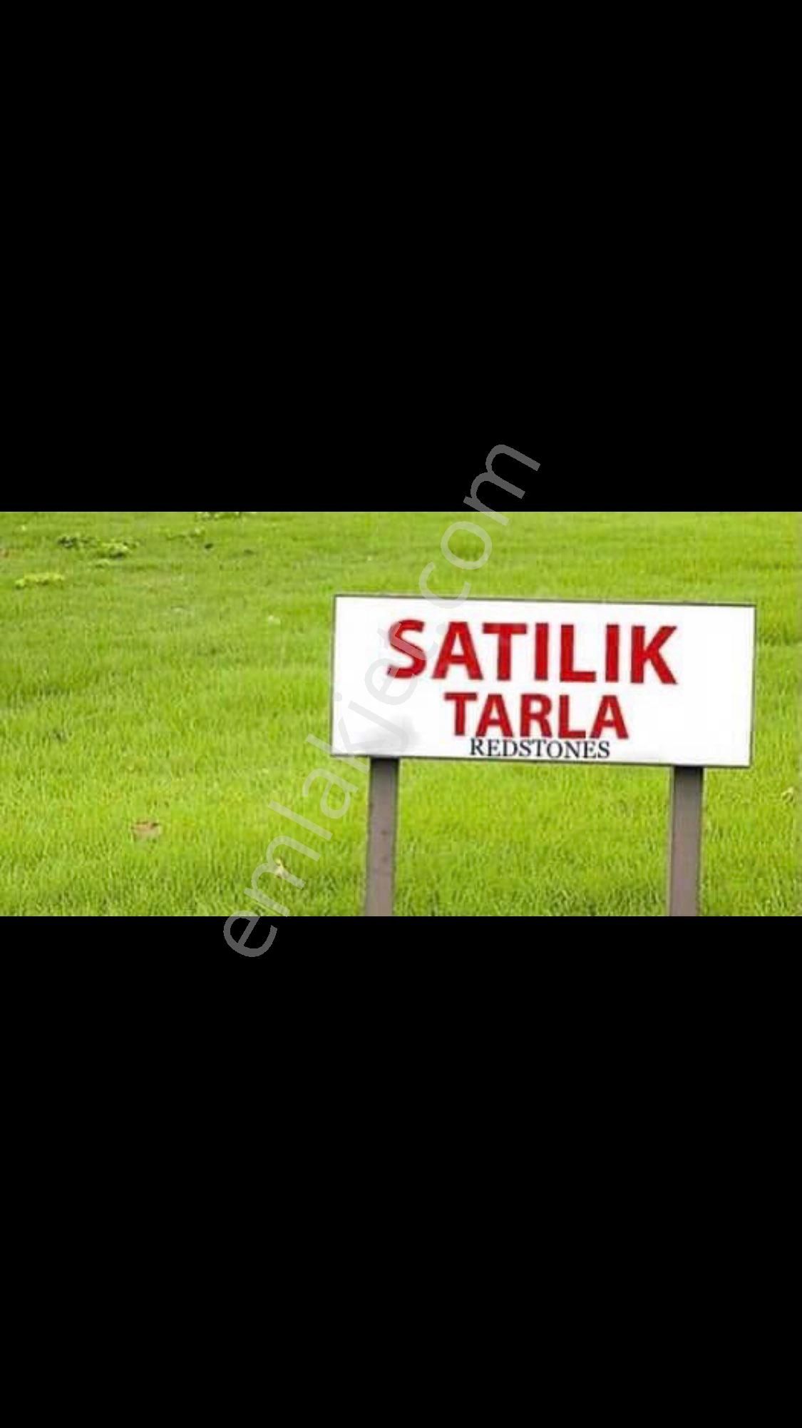 Nazilli Güzelköy Satılık Tarla İncir Bahçesi