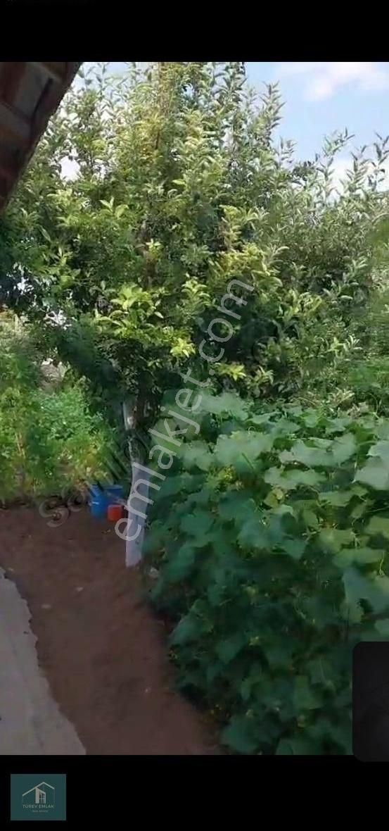 Seydikemer Yaylapatlangıç Satılık Tarla Türev Emlaktan Yayla Patlangıçta Satılık Ev Ve Arsa