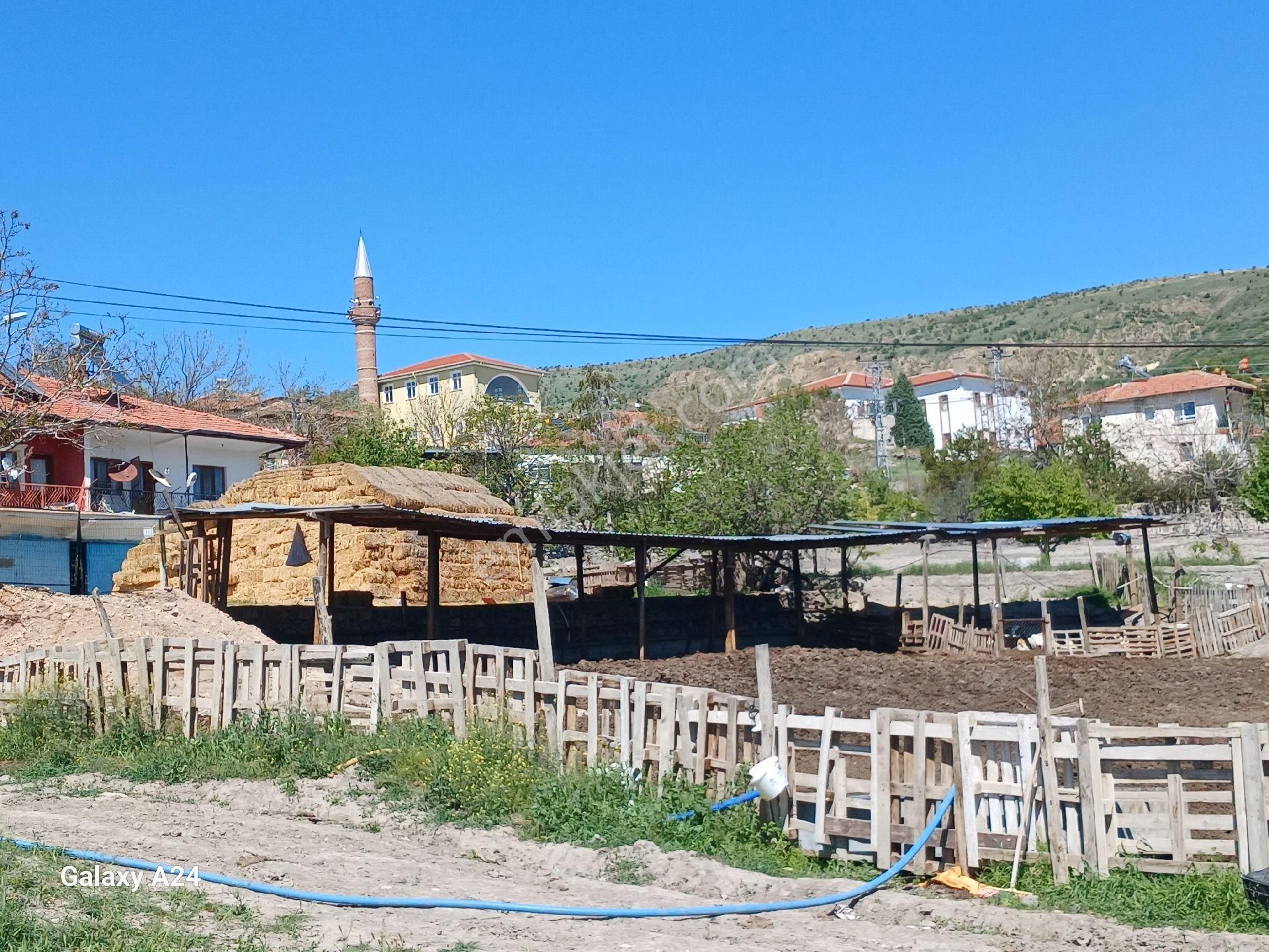 Çıtırık'tan Ayaş Bayram Mahallesi Acil Tek Tapu Köy Önü Mevkii!*