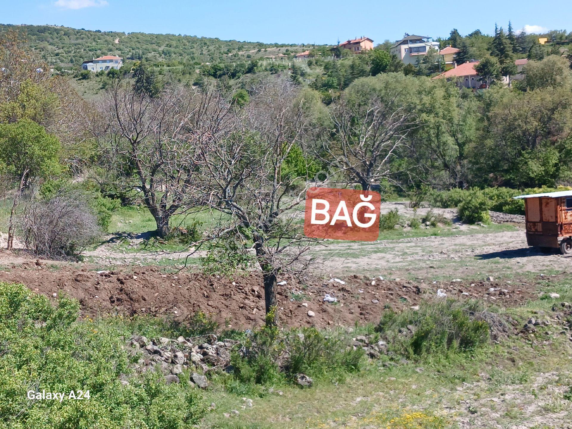 Çıtırık'tan Ayaş Bayram Mahallesi Acil Tek Tapu Köy Önü Mevkii!* - Görsel 28