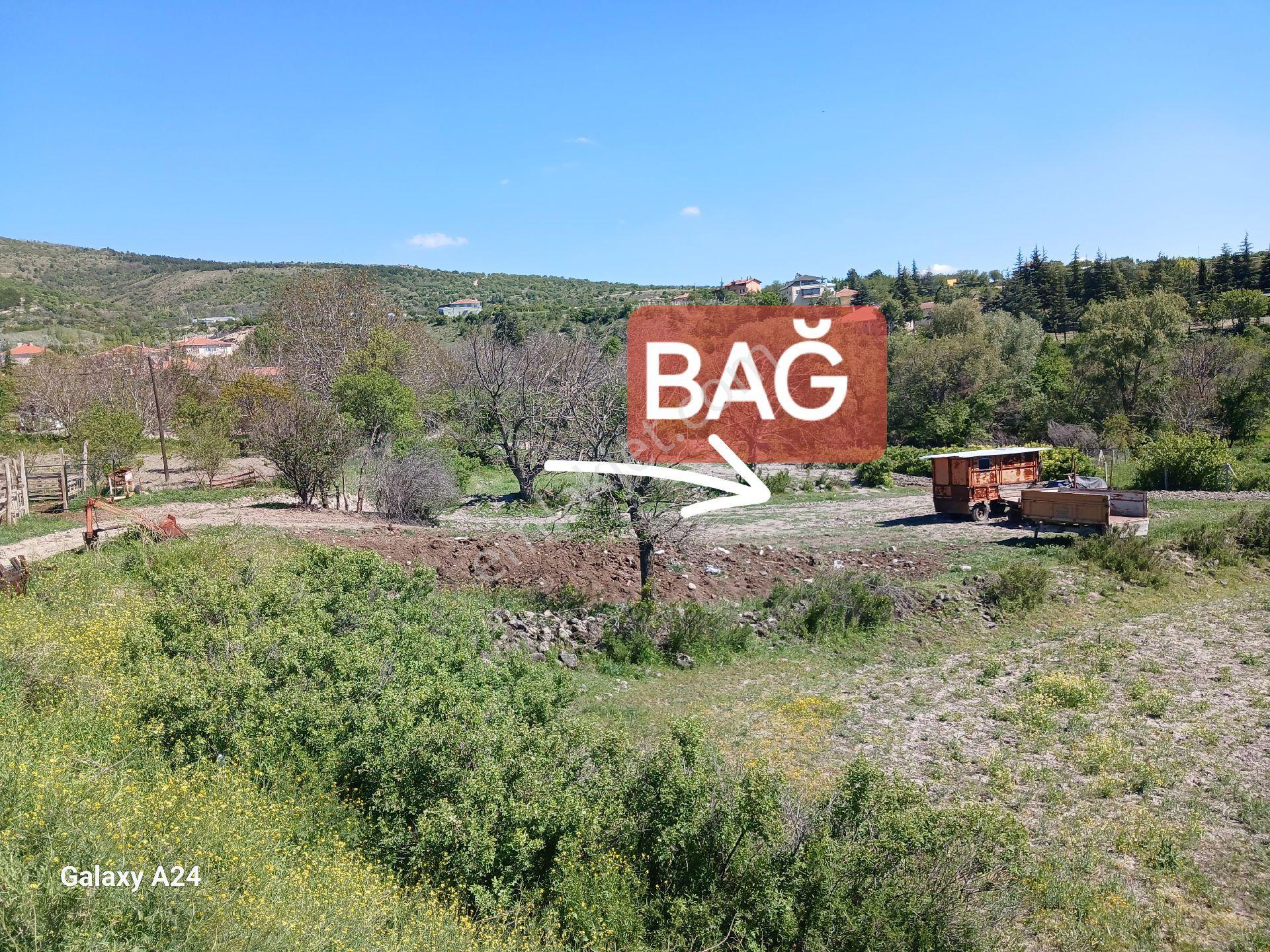 Çıtırık'tan Ayaş Bayram Mahallesi Acil Tek Tapu Köy Önü Mevkii!* - Görsel 26