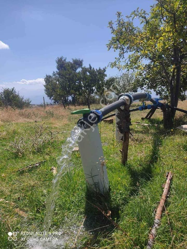 Buharkent Ericek Satılık Bağ & Bahçe Aydın Buharkent Mah Ericek Mah Satılık