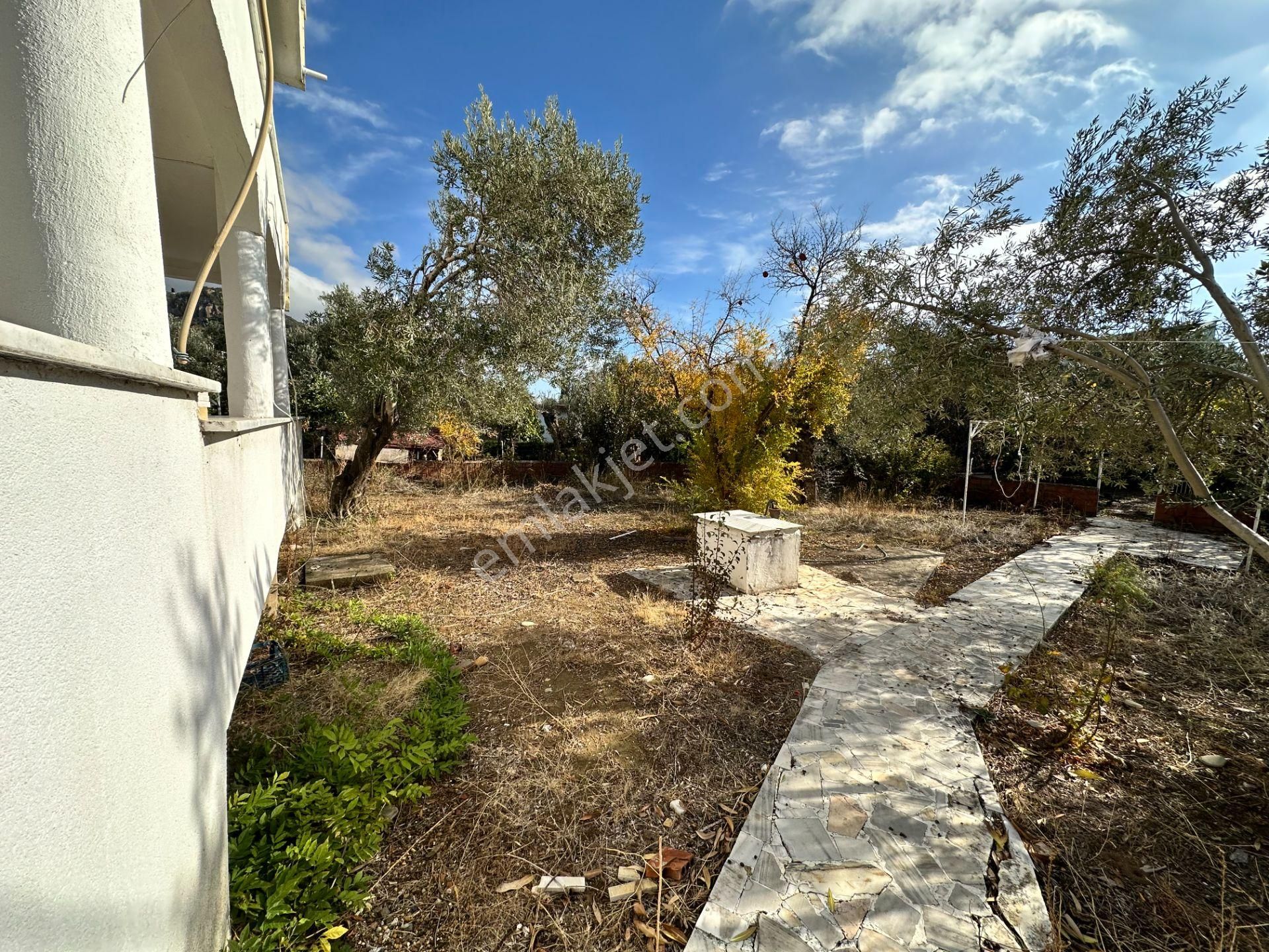 Ahmetçe Köyünde Sahilde Denize 1 Parsel 3 Katlı Ev Ve Zeytinlik - Görsel 19