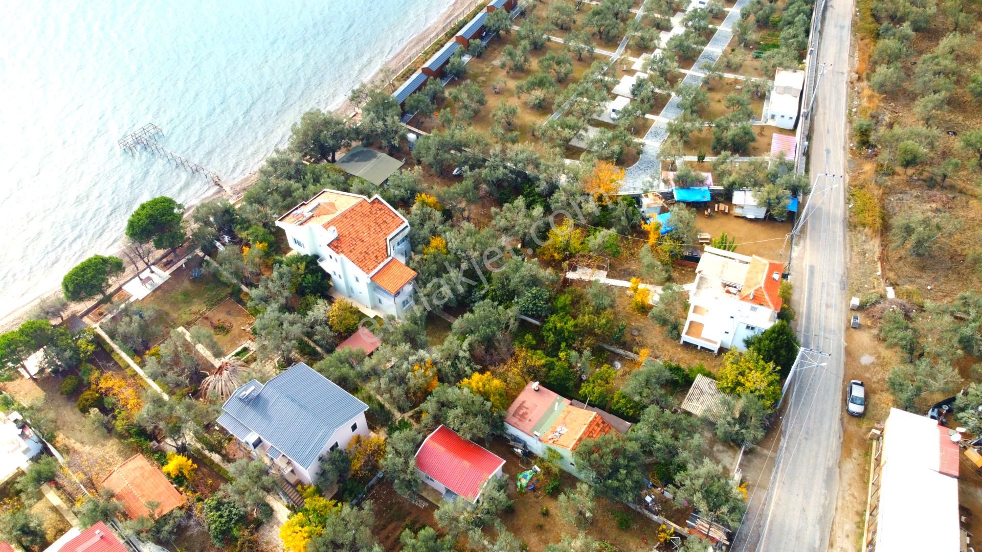 Ahmetçe Köyünde Sahilde Denize 1 Parsel 3 Katlı Ev Ve Zeytinlik - Görsel 8