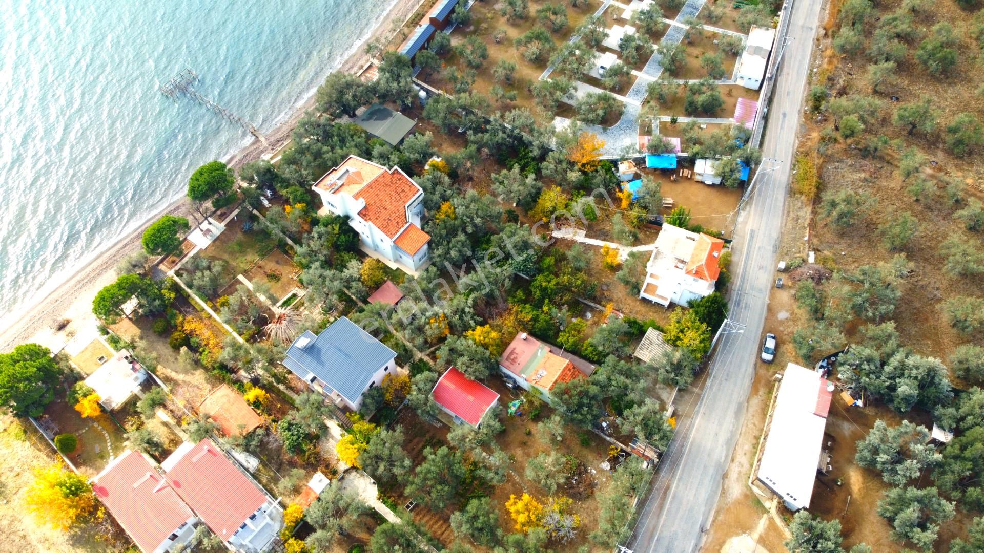 Ahmetçe Köyünde Sahilde Denize 1 Parsel 3 Katlı Ev Ve Zeytinlik - Görsel 9