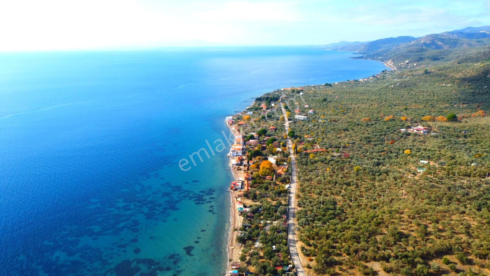 Ahmetçe Köyünde Sahilde Denize 1 Parsel 3 Katlı Ev Ve Zeytinlik - Görsel 12