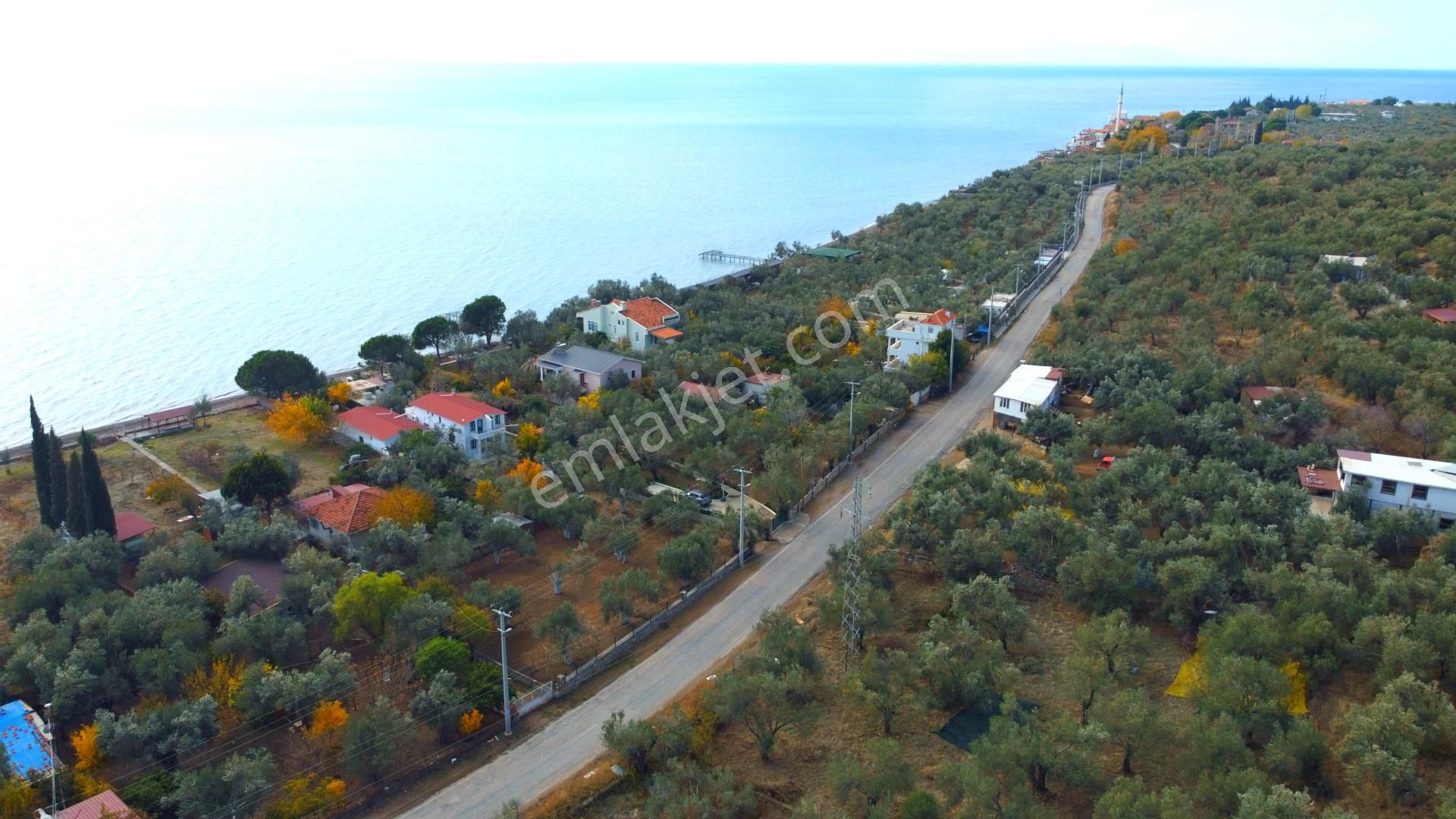 Ahmetçe Köyünde Sahilde Denize 1 Parsel 3 Katlı Ev Ve Zeytinlik - Görsel 7