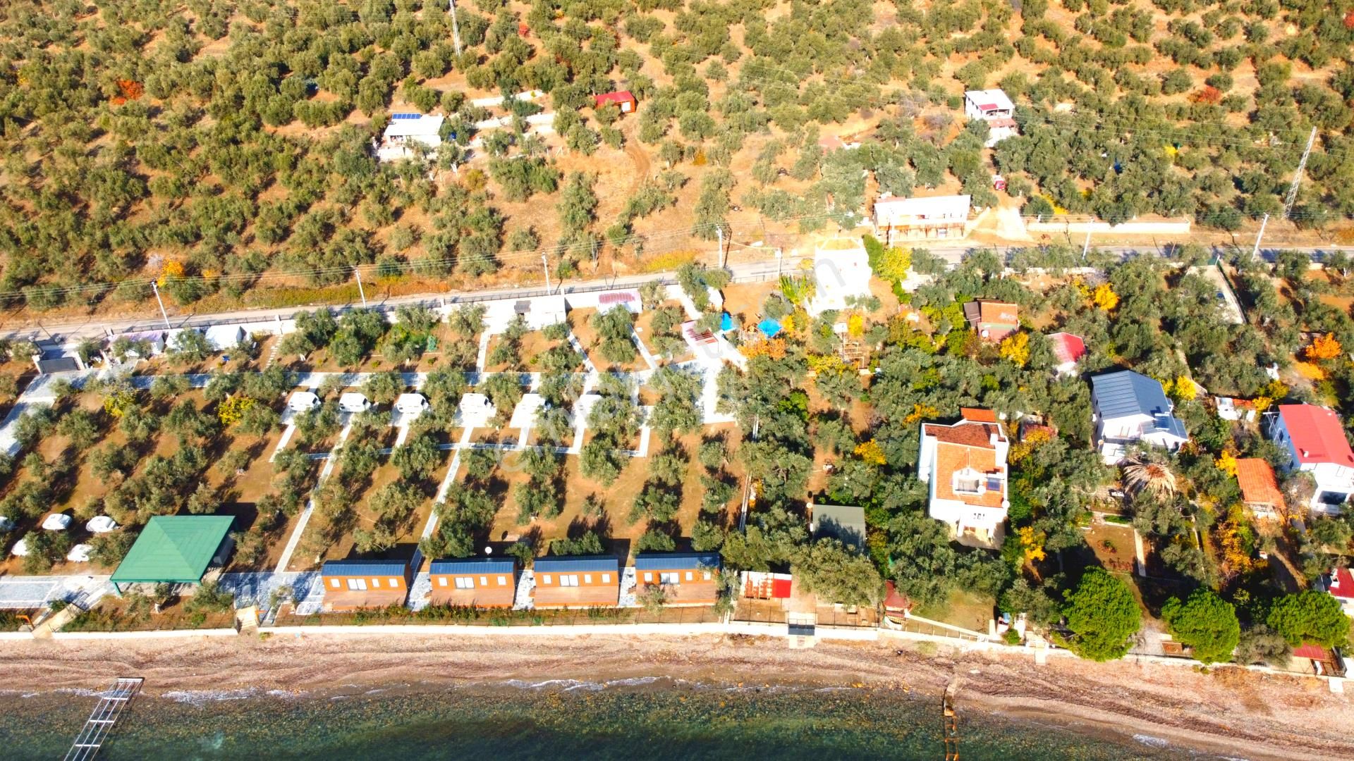 Ahmetçe Köyünde Sahilde Denize 1 Parsel 3 Katlı Ev Ve Zeytinlik - Görsel 15