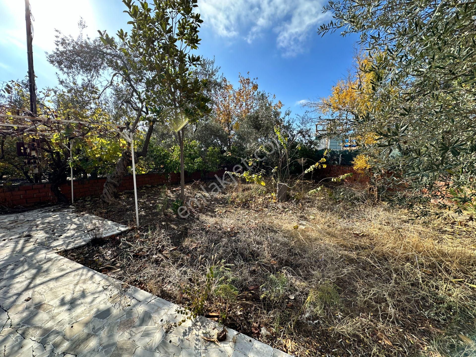 Ahmetçe Köyünde Sahilde Denize 1 Parsel 3 Katlı Ev Ve Zeytinlik - Görsel 23