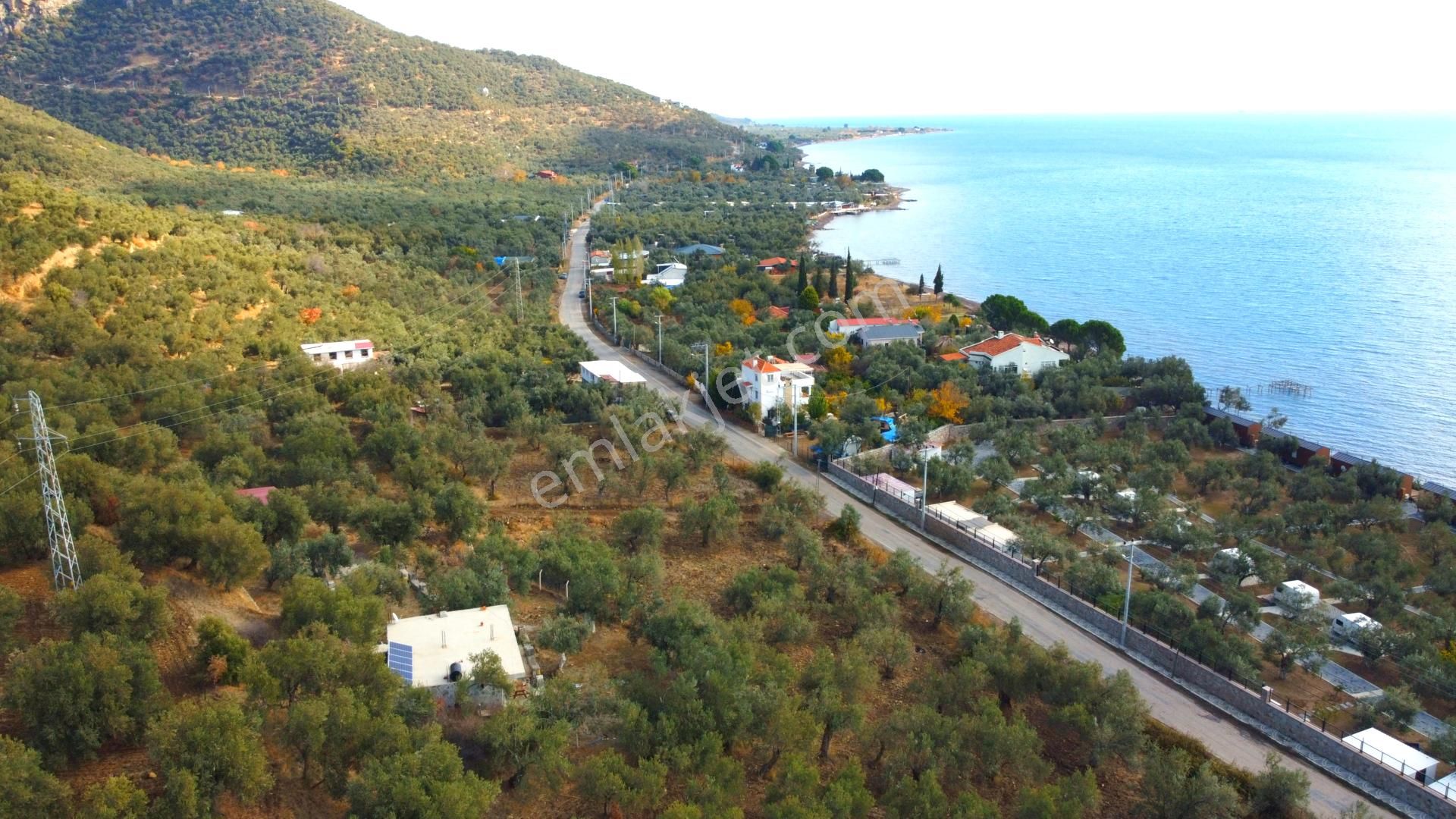Ahmetçe Köyünde Sahilde Denize 1 Parsel 3 Katlı Ev Ve Zeytinlik - Görsel 6