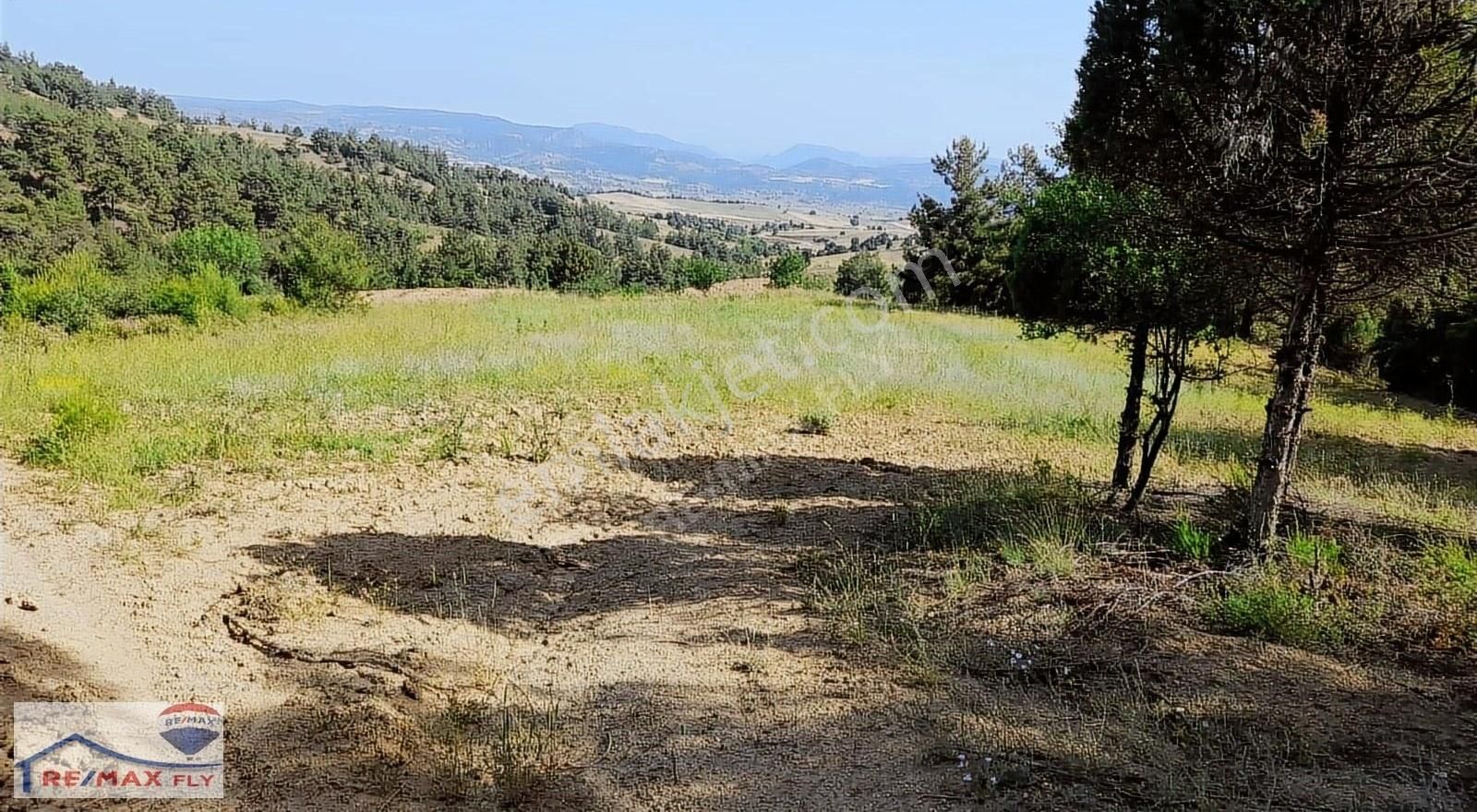 Söğüt Küre Köyü (Merkez) Satılık Bağ & Bahçe Söğüt Küre Satılık Tarla