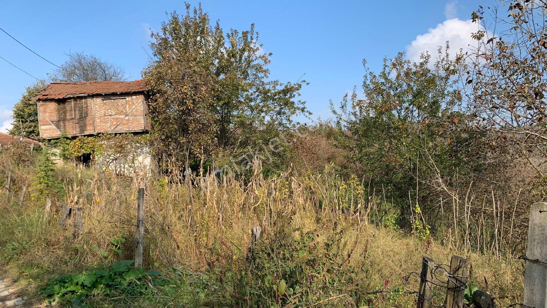 Kocaali Karapelit Satılık Konut İmarlı Konut İmarlı Köşe Parsel Arsa