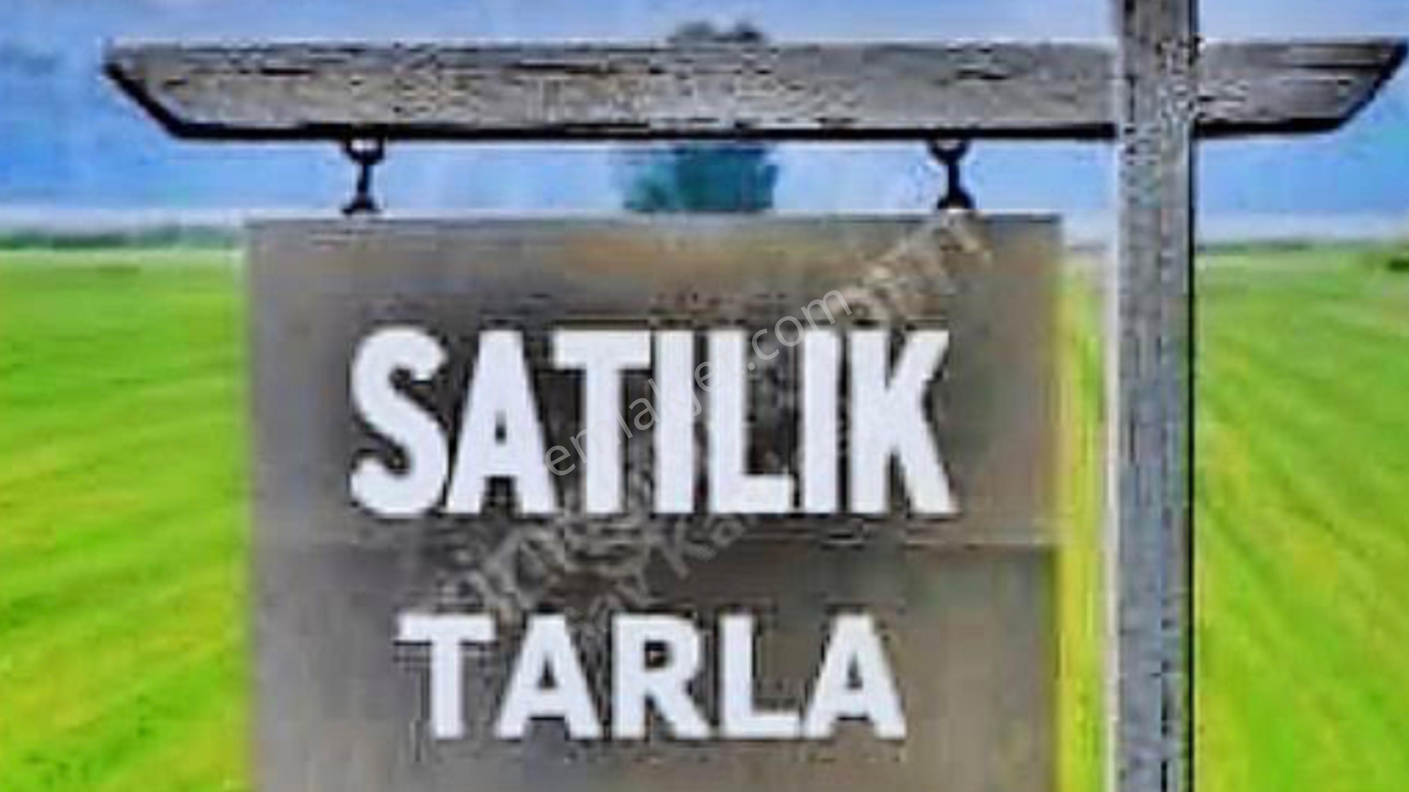 Tire Akkoyunlu Satılık Tarla Tire Atılım Emlak Tan 10.572 M2 Akkoyunlu Köyü Satılık Tarla