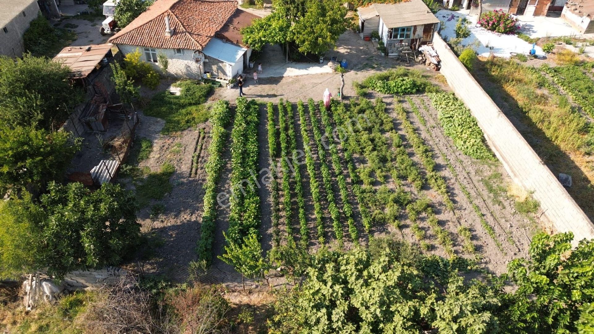 Manyas Akçaova Satılık Daire Satılık Köy Evi Ve Bahçesi