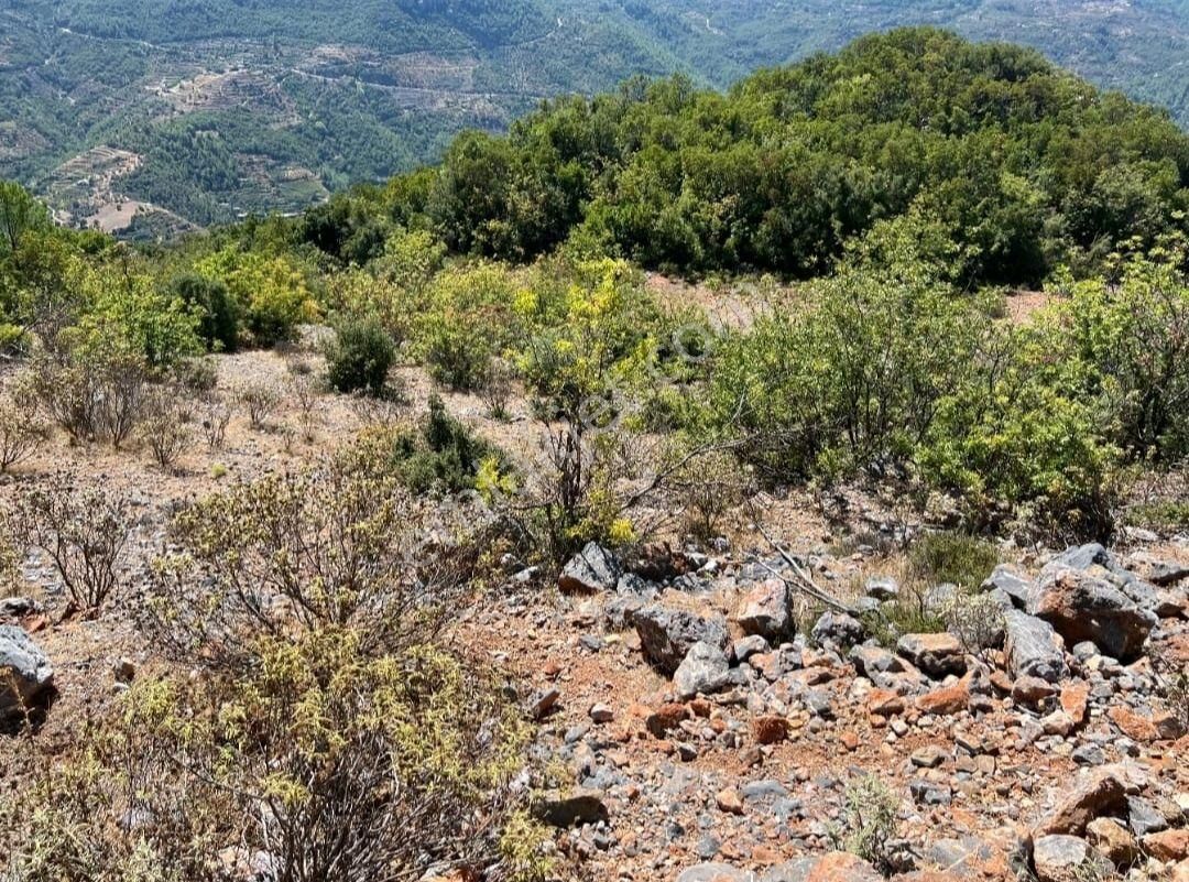 Görkent Emlak'tan Asfalta Sıfır Satılık Tarla - Görsel 3