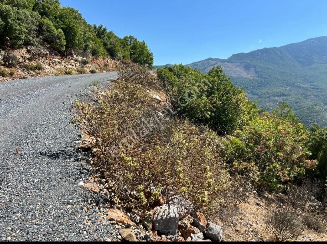 Gazipaşa Üçkonak Satılık Tarla Görkent Emlak'tan Asfalta Sıfır Satılık Tarla