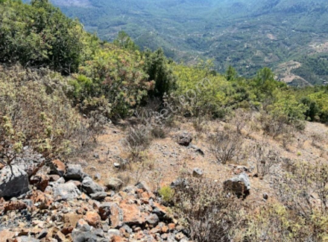 Görkent Emlak'tan Asfalta Sıfır Satılık Tarla - Görsel 2