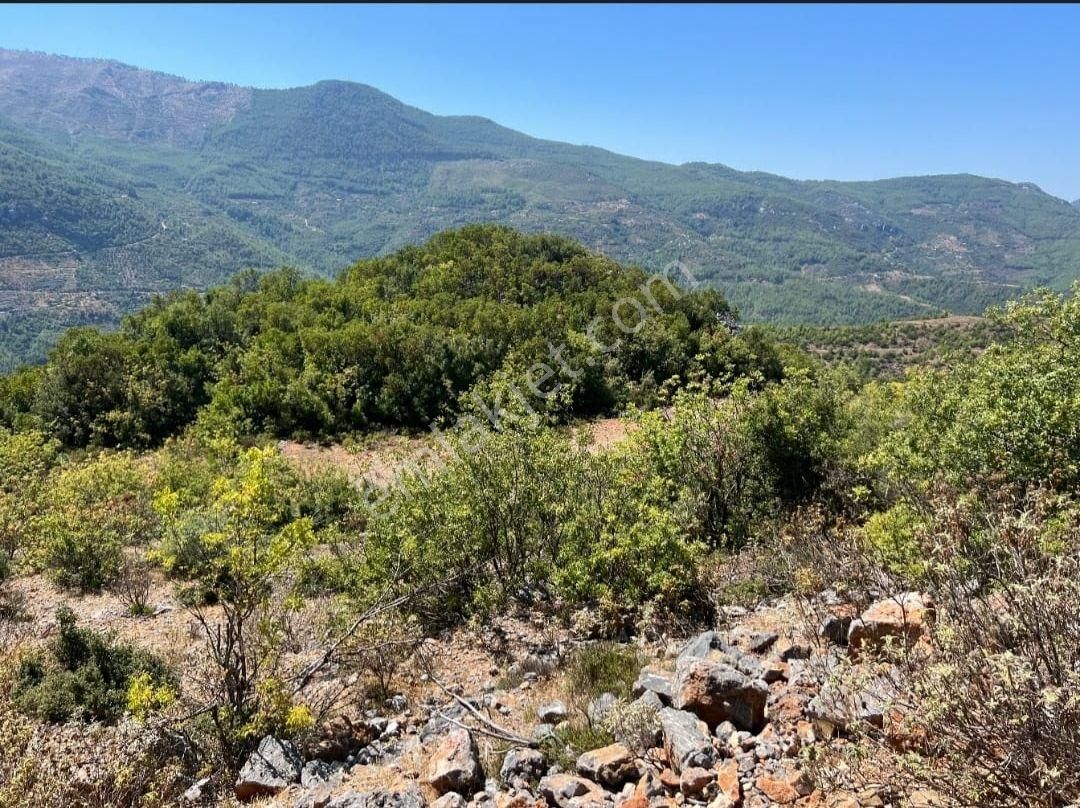 Görkent Emlak'tan Asfalta Sıfır Satılık Tarla - Görsel 4