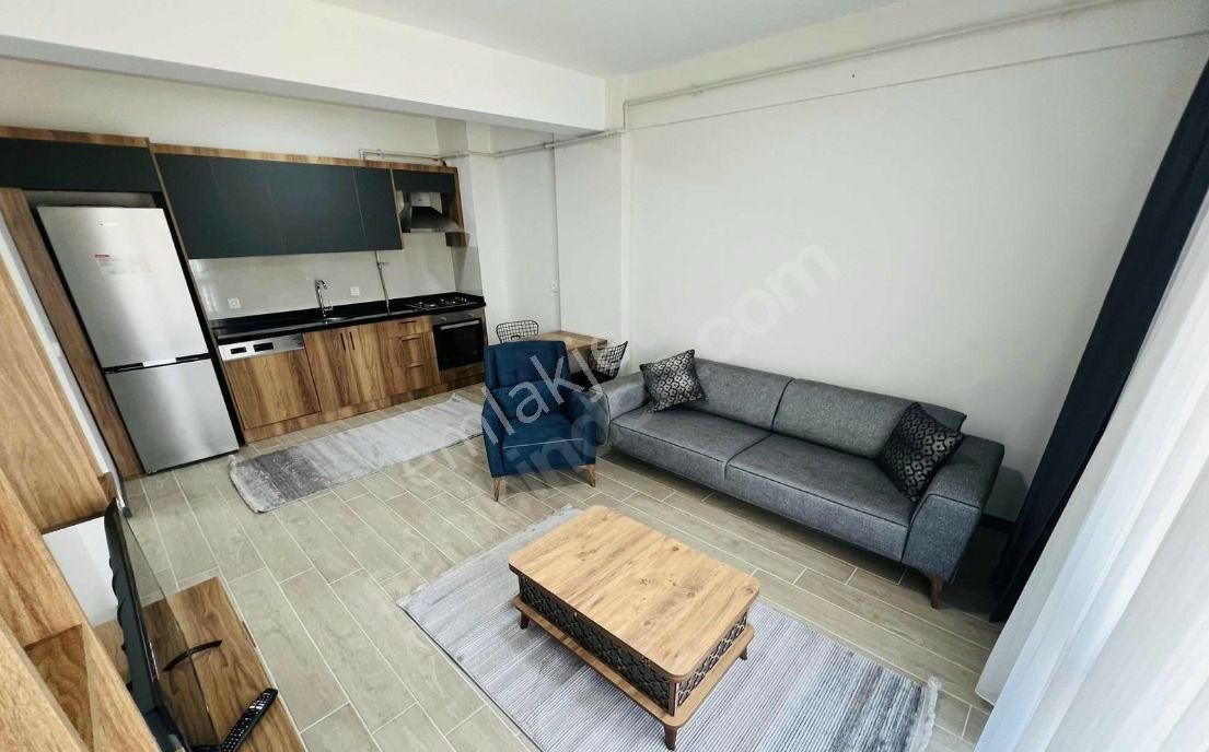 Niğde Merkez Aşağı Kayabaşı Kiralık Daire Ertan'dan Eşyalı Kiralık Lüx 1+1