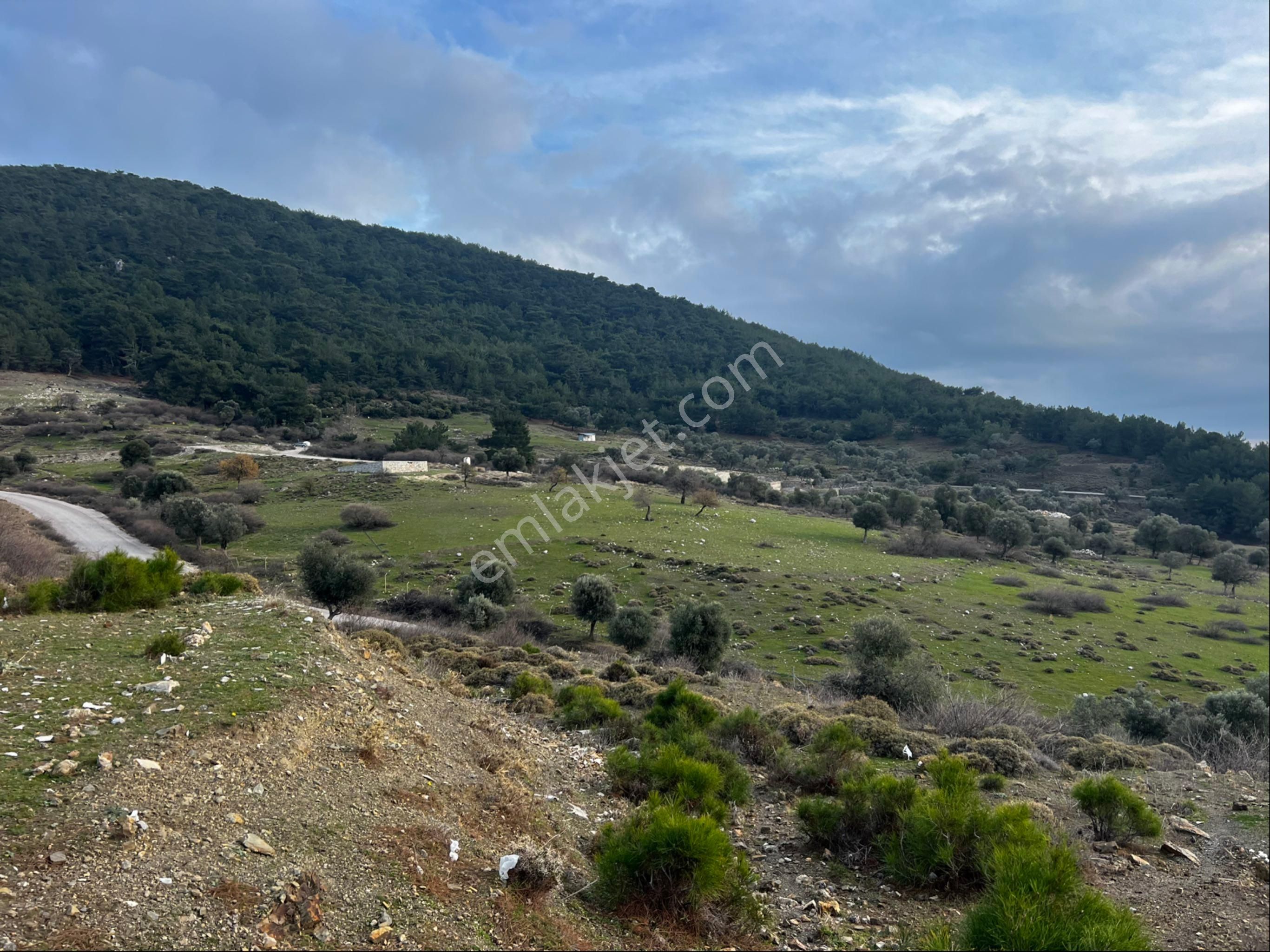 Tapu Müstakil Asfalta 85 M2 Cephe Asfalta 25m2 Fazla Cephe Olduğu İçin Bağ Evi,hobi Evi Yapılabilir. - Görsel 10
