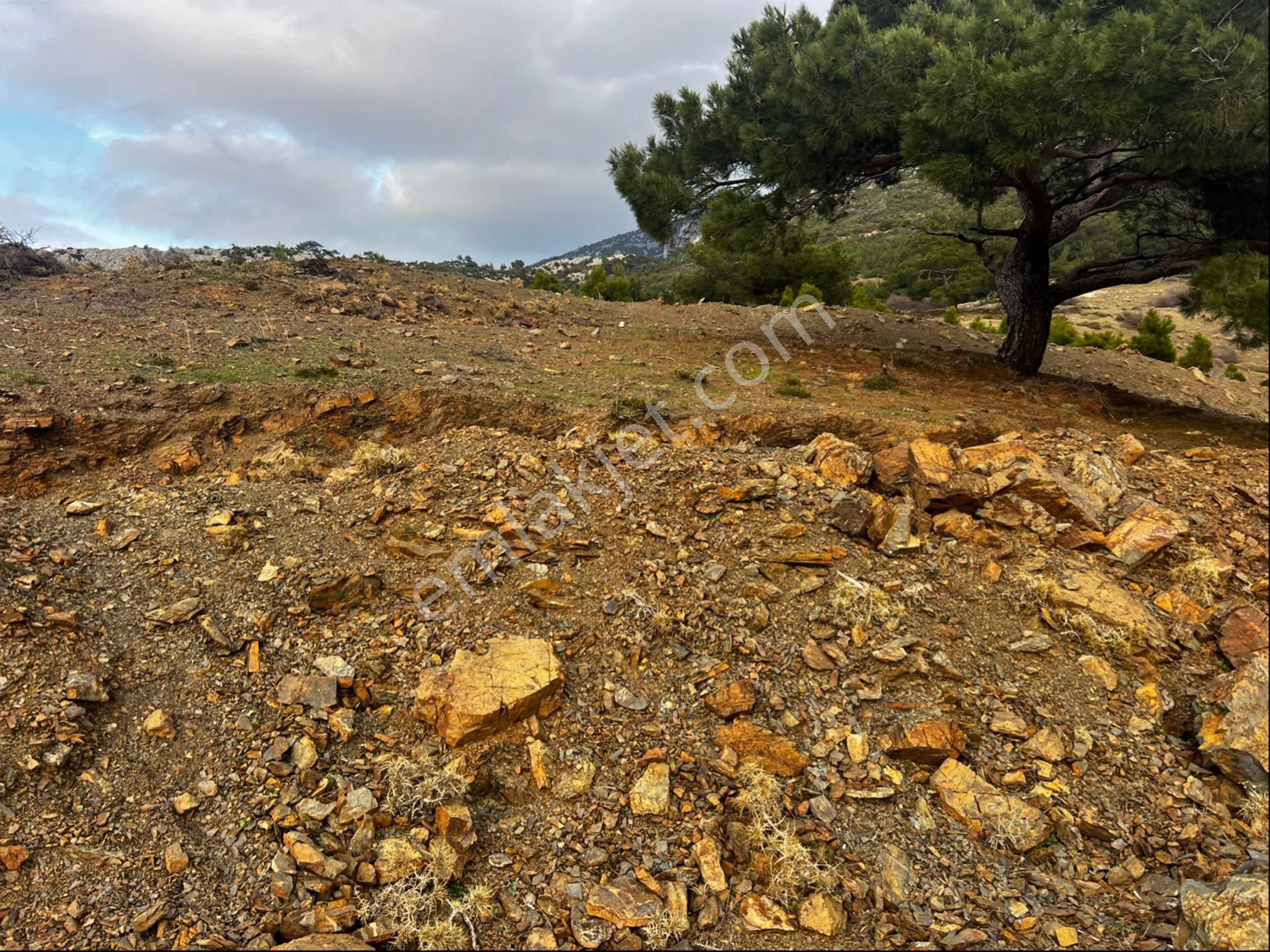 Tapu Müstakil Asfalta 85 M2 Cephe Asfalta 25m2 Fazla Cephe Olduğu İçin Bağ Evi,hobi Evi Yapılabilir. - Görsel 20
