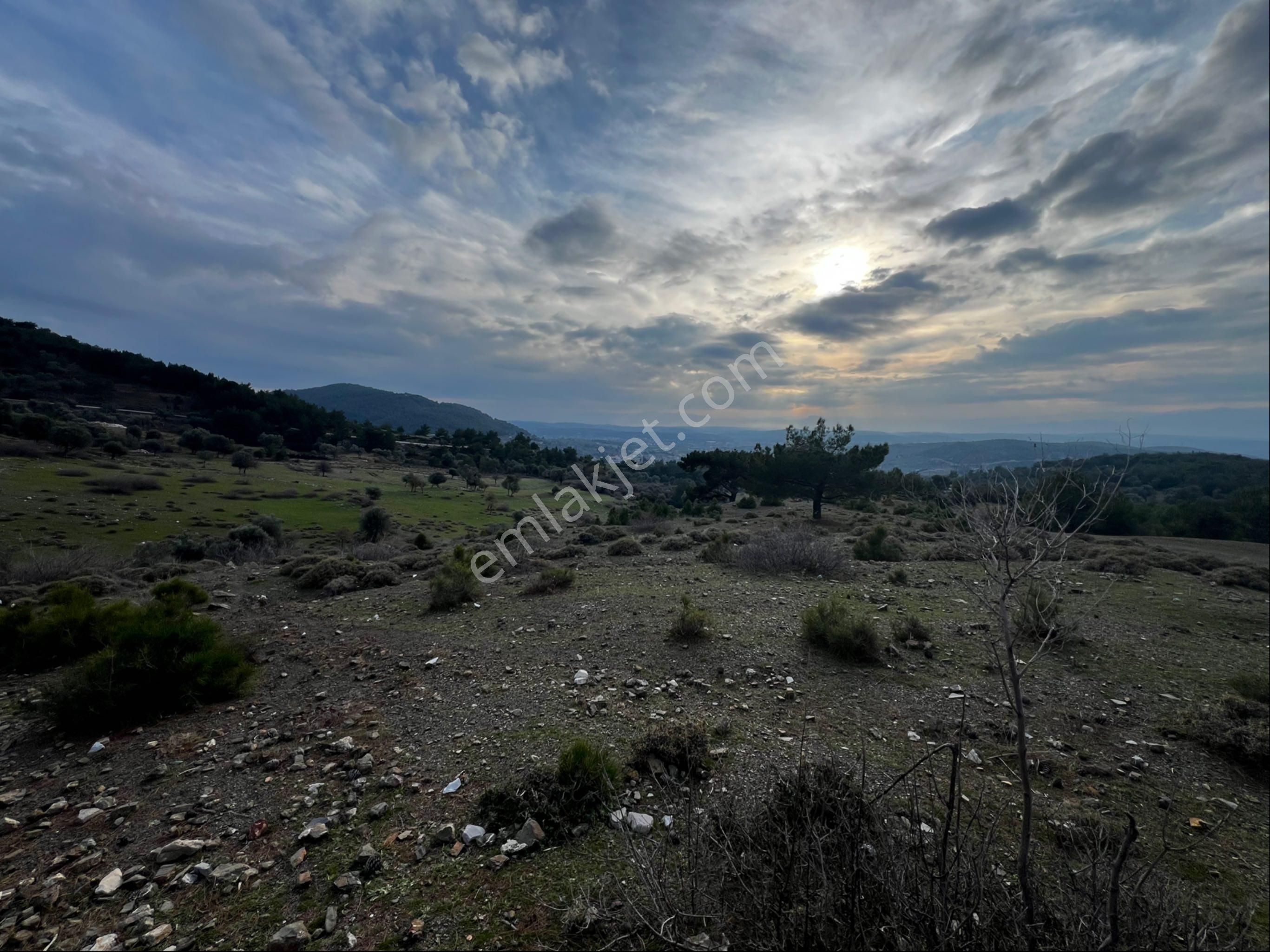 Tapu Müstakil Asfalta 85 M2 Cephe Asfalta 25m2 Fazla Cephe Olduğu İçin Bağ Evi,hobi Evi Yapılabilir. - Görsel 13