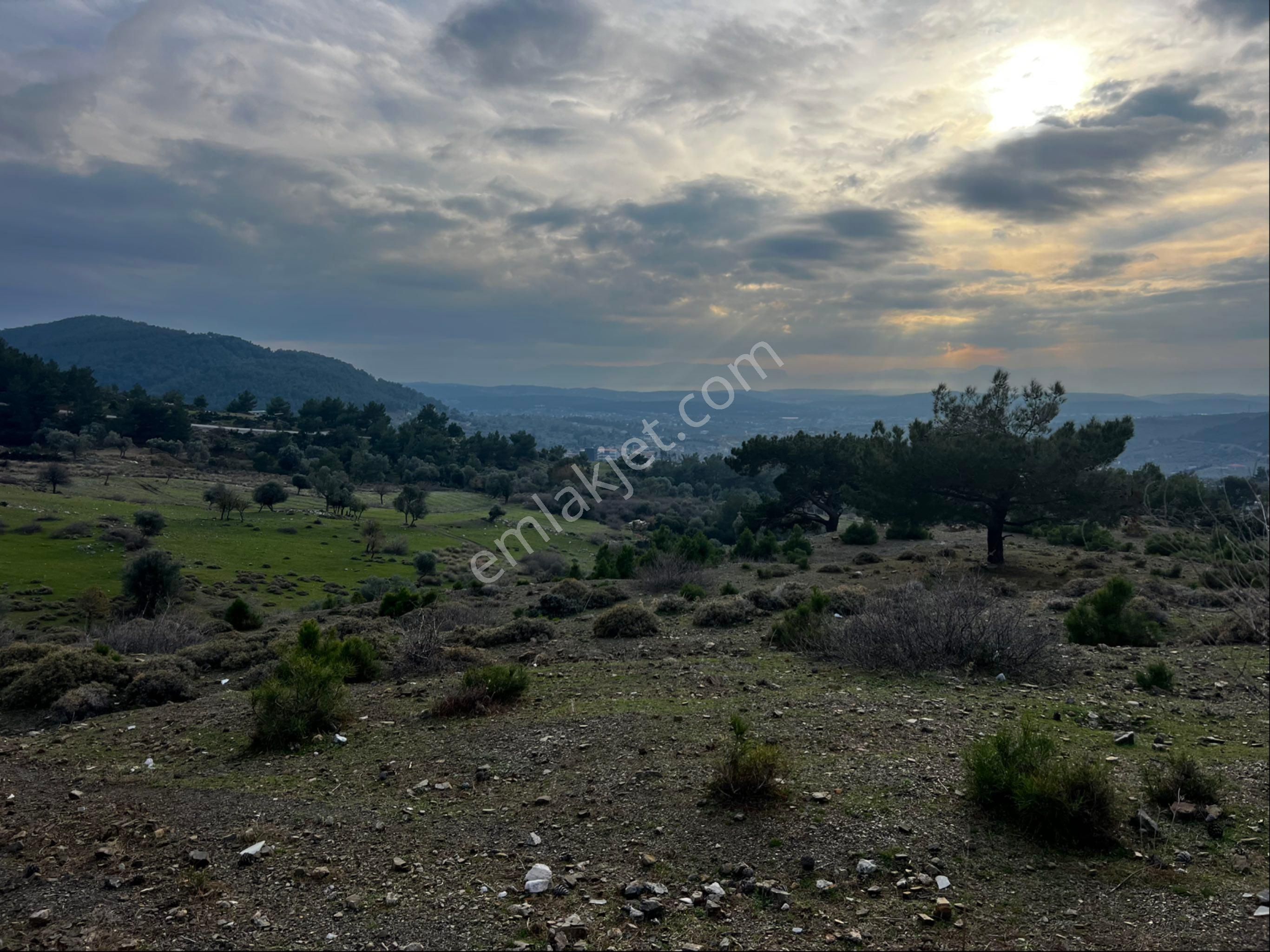Tapu Müstakil Asfalta 85 M2 Cephe Asfalta 25m2 Fazla Cephe Olduğu İçin Bağ Evi,hobi Evi Yapılabilir. - Görsel 11