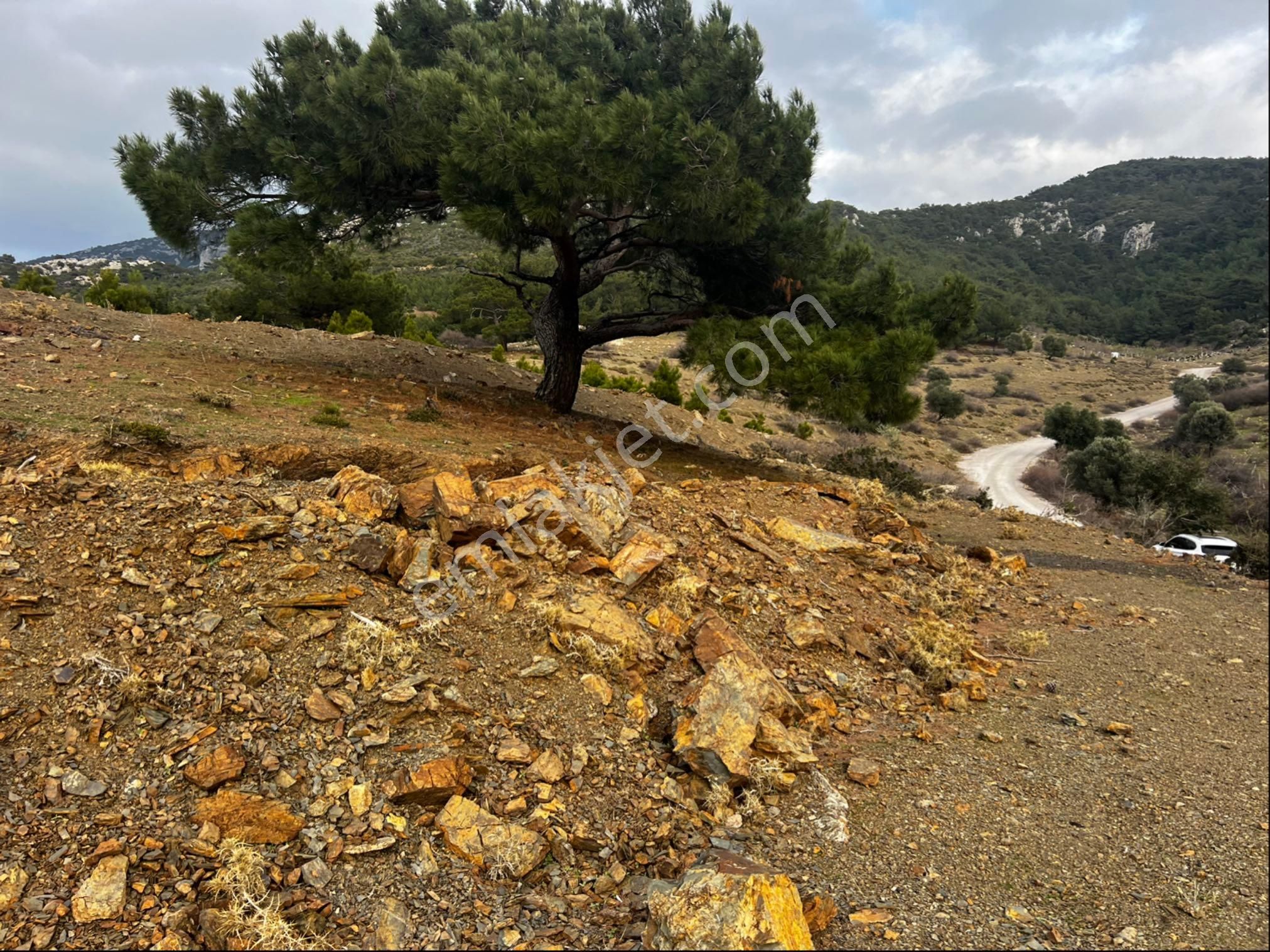 Tapu Müstakil Asfalta 85 M2 Cephe Asfalta 25m2 Fazla Cephe Olduğu İçin Bağ Evi,hobi Evi Yapılabilir. - Görsel 18