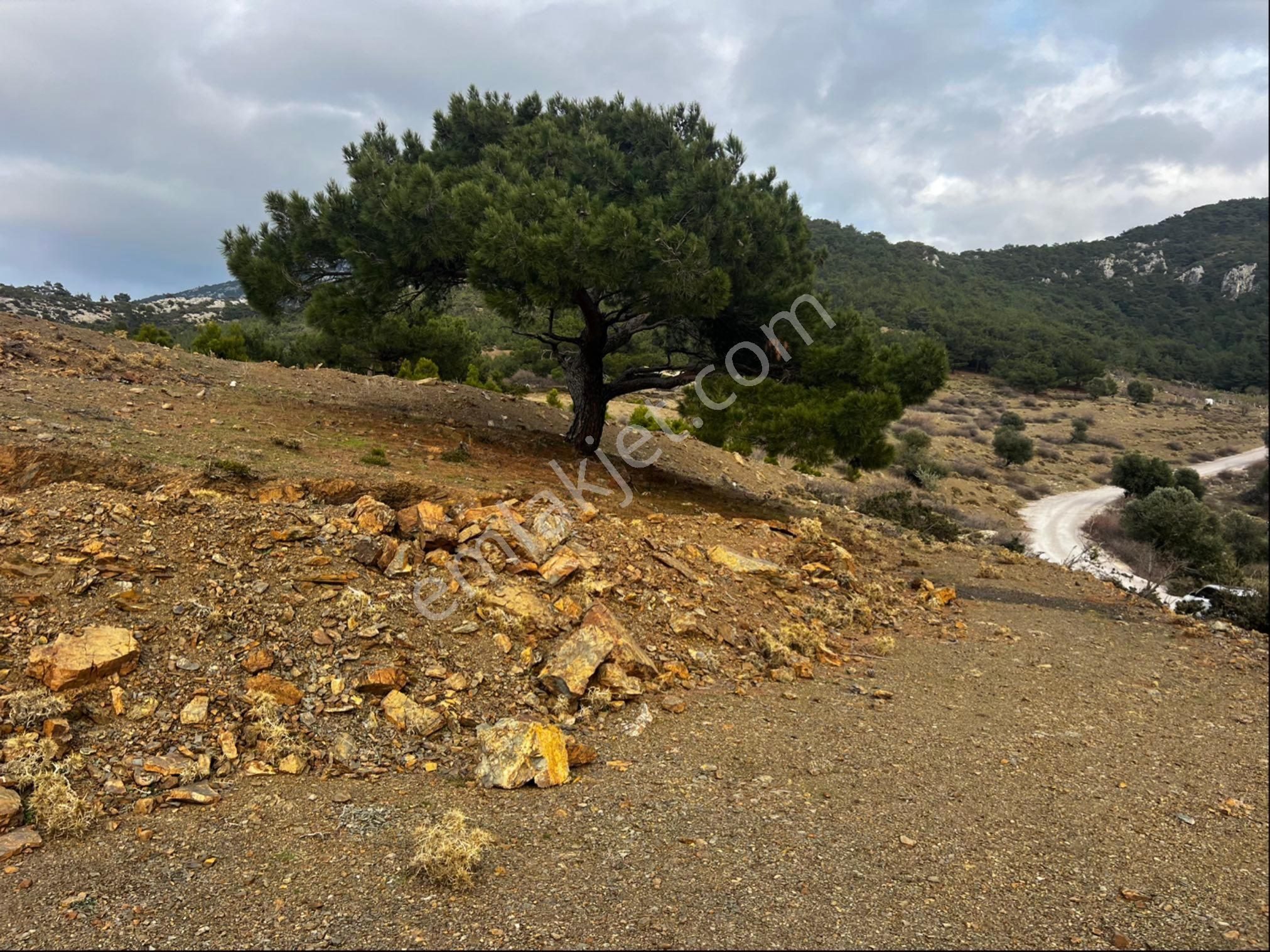 Tek Tapu Müstakil Asfalta 105 M2 Cephe Harika Lokasyon, Bağ Evi Veya Hobi Evi İzin Alınarak Yapılır - Görsel 26