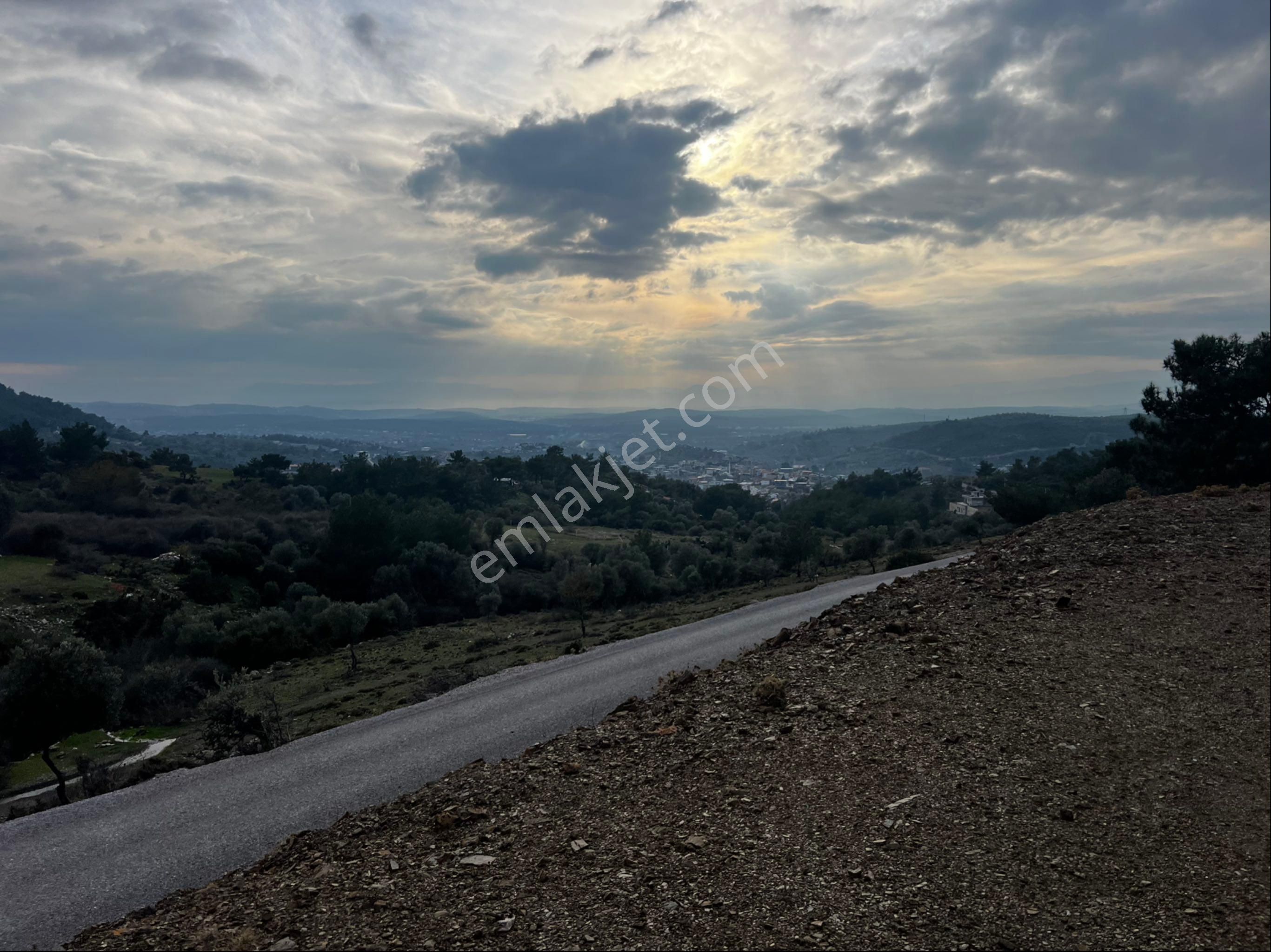 Buca 29 Ekim Satılık Tarla Tek Tapu Müstakil Asfalta 105 M2 Cephe Harika Lokasyon, Bağ Evi Veya Hobi Evi İzin Alınarak Yapılır