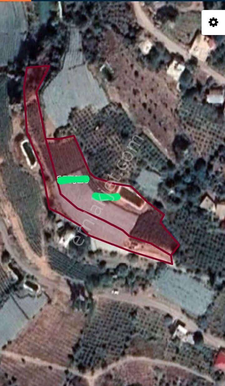 Erdemli Çamlı Satılık Tarla Mersin Erdemli Çamlı Mahallesinde İki Farklı Tapuda Toplam 5465 M.kare Acil Satılık Tarla