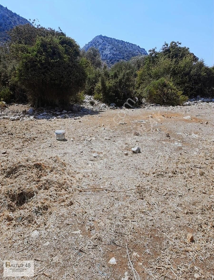 Seydikemer Gölbent Satılık Tarla Gölbent Mh Tek Tapu Arazi 1164 M2