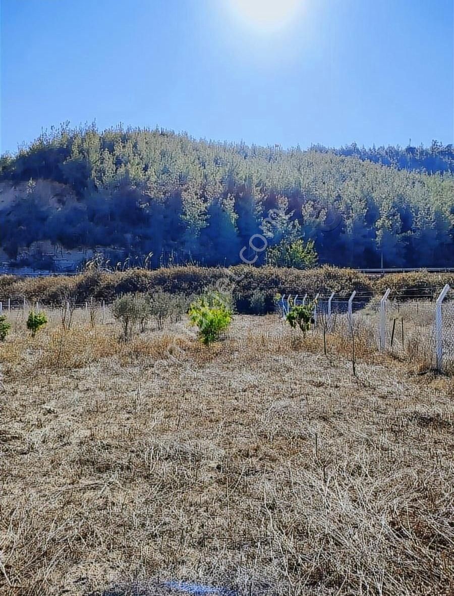 Adana'ya 10 Dk Hobi Evi - Görsel 16