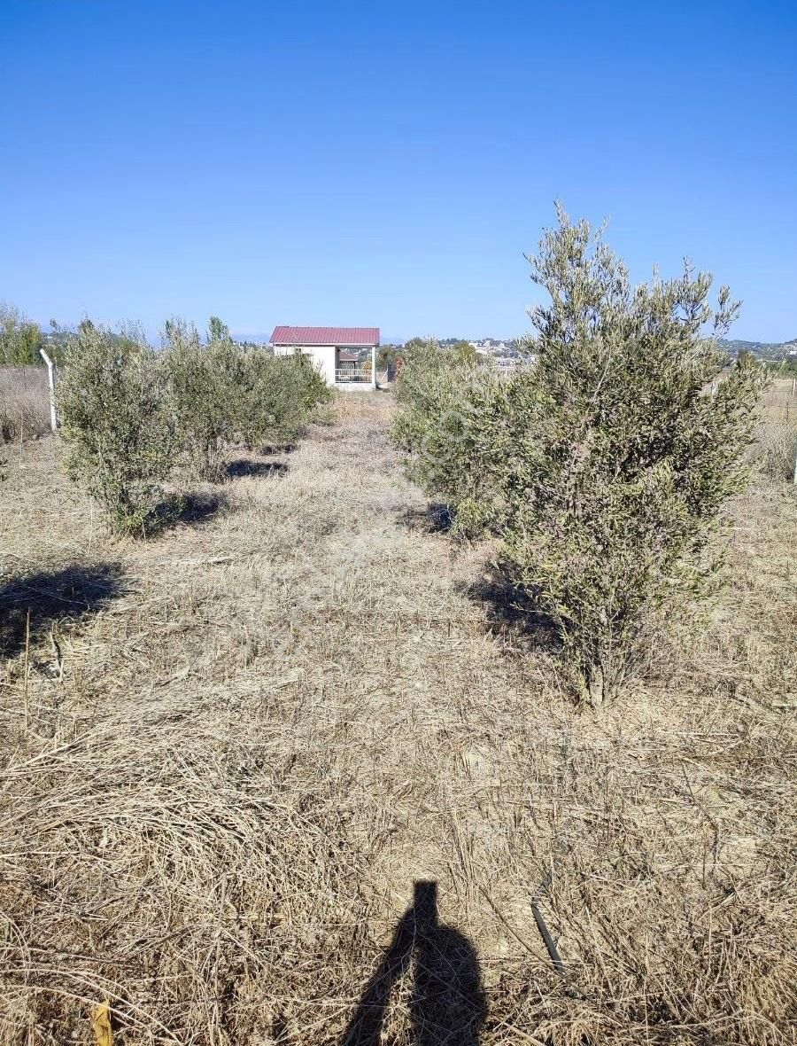 Adana'ya 10 Dk Hobi Evi - Görsel 6