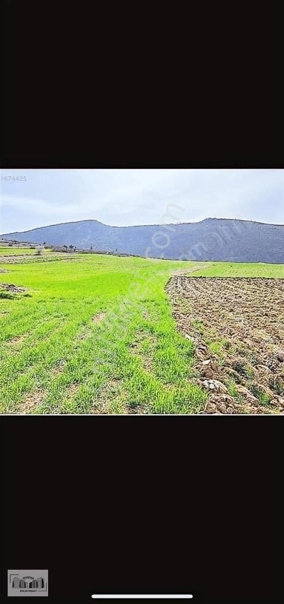 Geyve Karacaören Satılık Tarla Sakarya Geyve Karacaören De Satılık 382 Metre Tarla