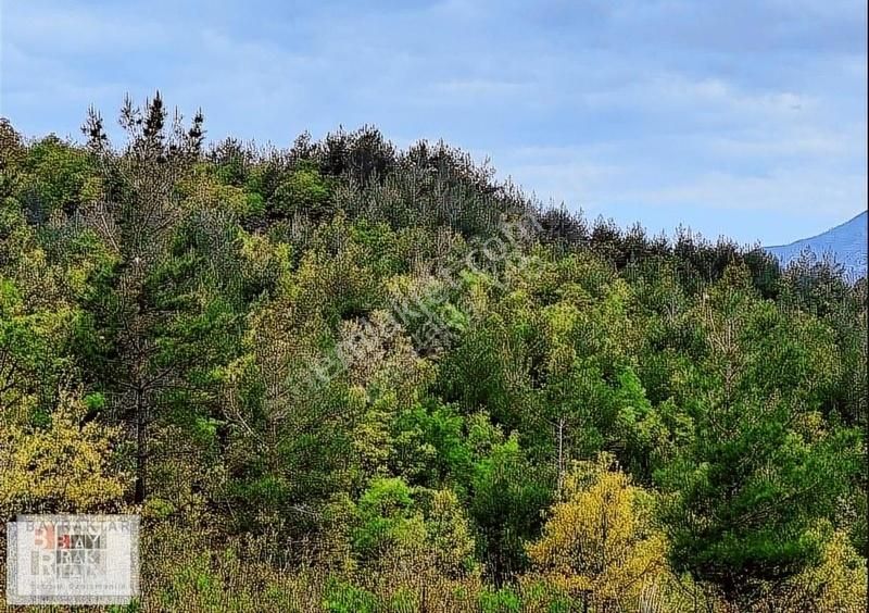 Gazipaşa Sugözü Satılık Tarla Gazipaşa Sugözü Köyü Satılık Arsa,