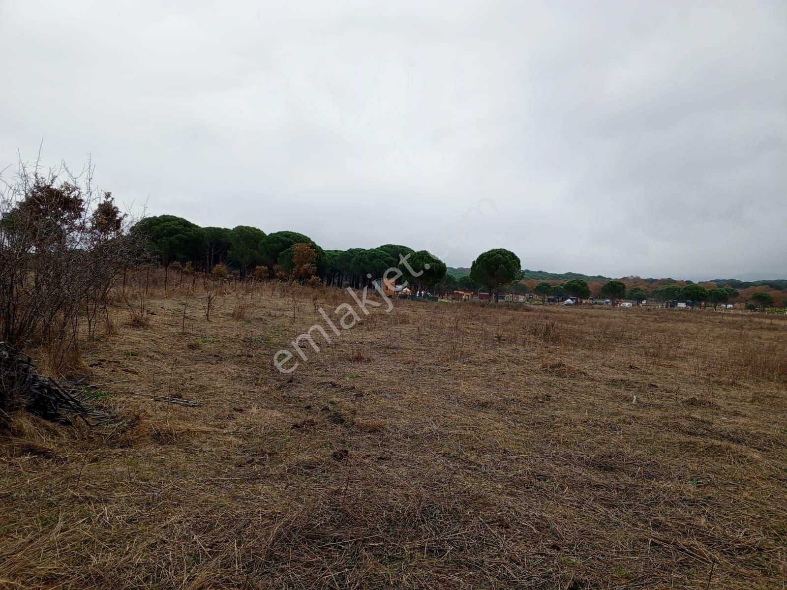 Bergama Yukarıbey Satılık Tarla İzmir Bergama Yukarıbey Bozavlu Mevki Yola Cepheli Satılık Tarla