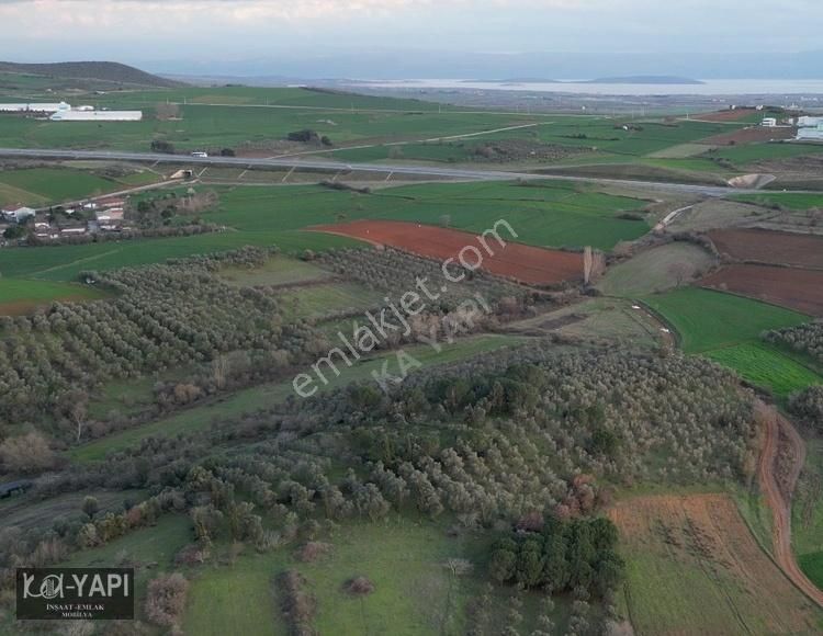 Karacabey Seyran Satılık Tarla Seyranda 5 Dönüm Meraya Ve Sulama Kanalına Cephe Göl Manzaralı