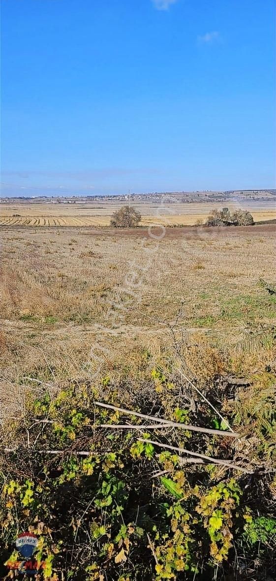 Biga/şirinköyde Otoyola Ve Anayola Cepheli 7.002 M² Arazi! - Görsel 2