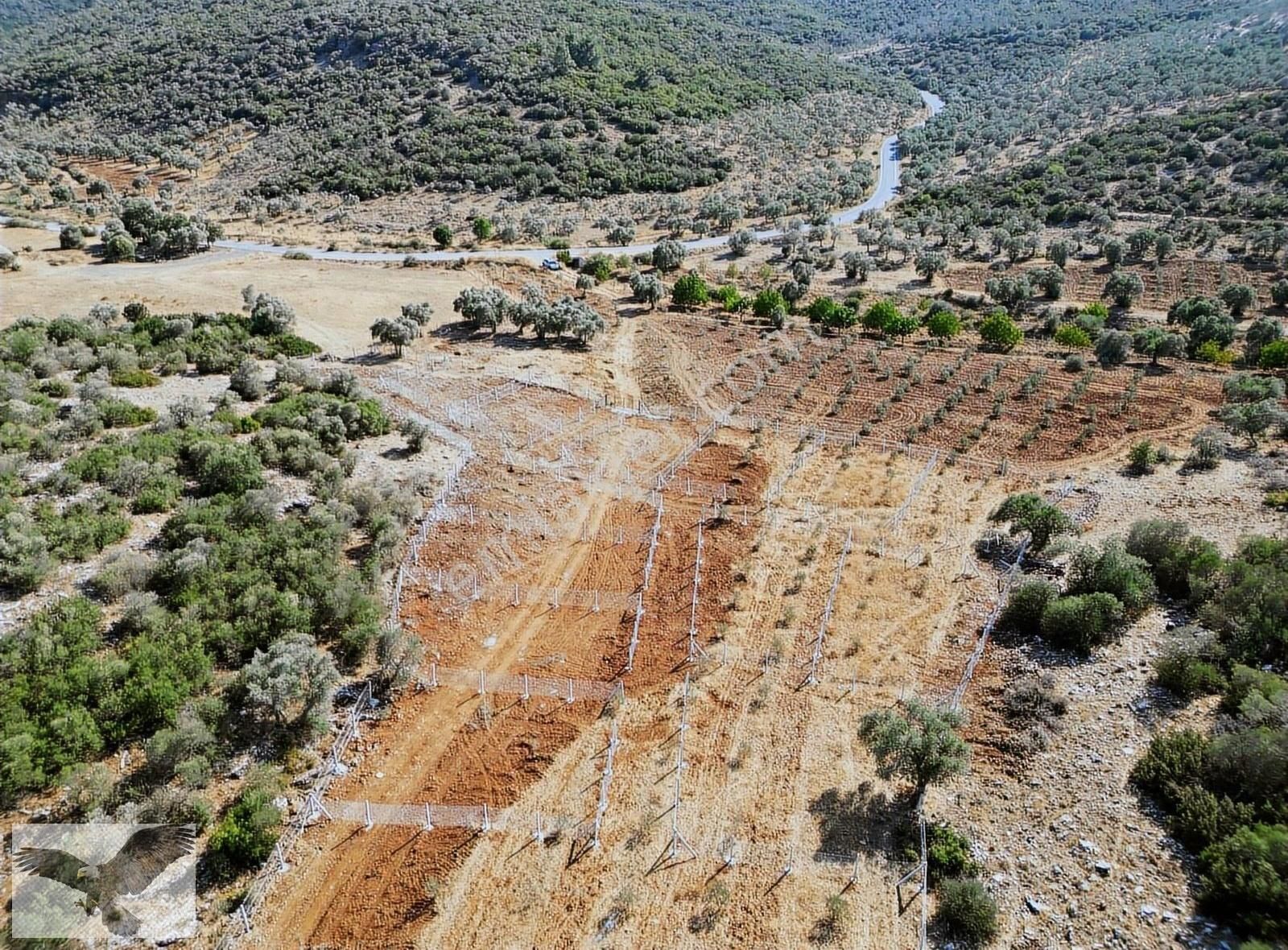 Menderes Gölova Satılık Tarla Menderes Gölovada Denize 6 Km 263 M2 Hisse Tapulu Parseller