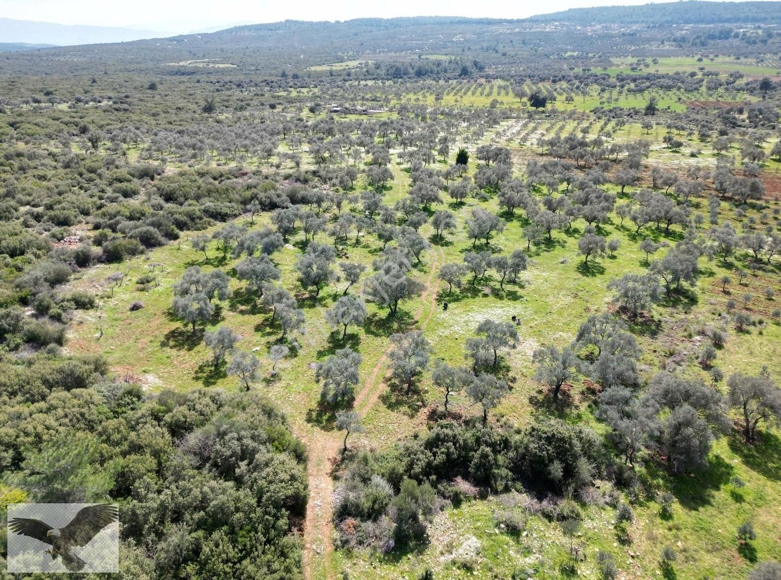 Menderes Gölova Satılık Tarla Menderes Gölovada 4750 M2 Tek Tapu Satılık Yatırımlık Tarla Acil