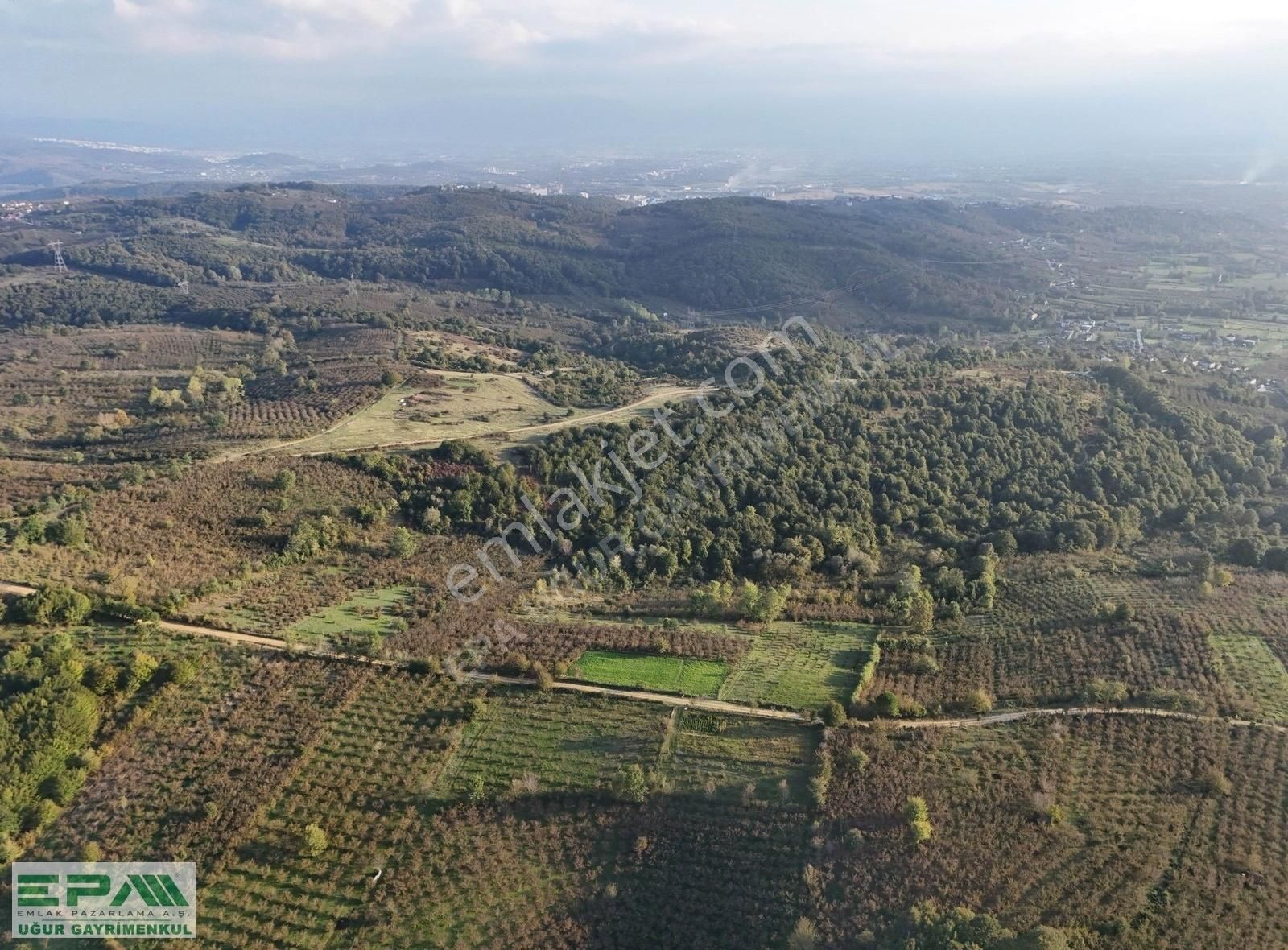 Düzce Merkez Boğaziçi Bld. (Yeşilköy) Satılık Tarla Epa Uğur'dan Boğaziçi Yeşilköy'de Satılık Arsa